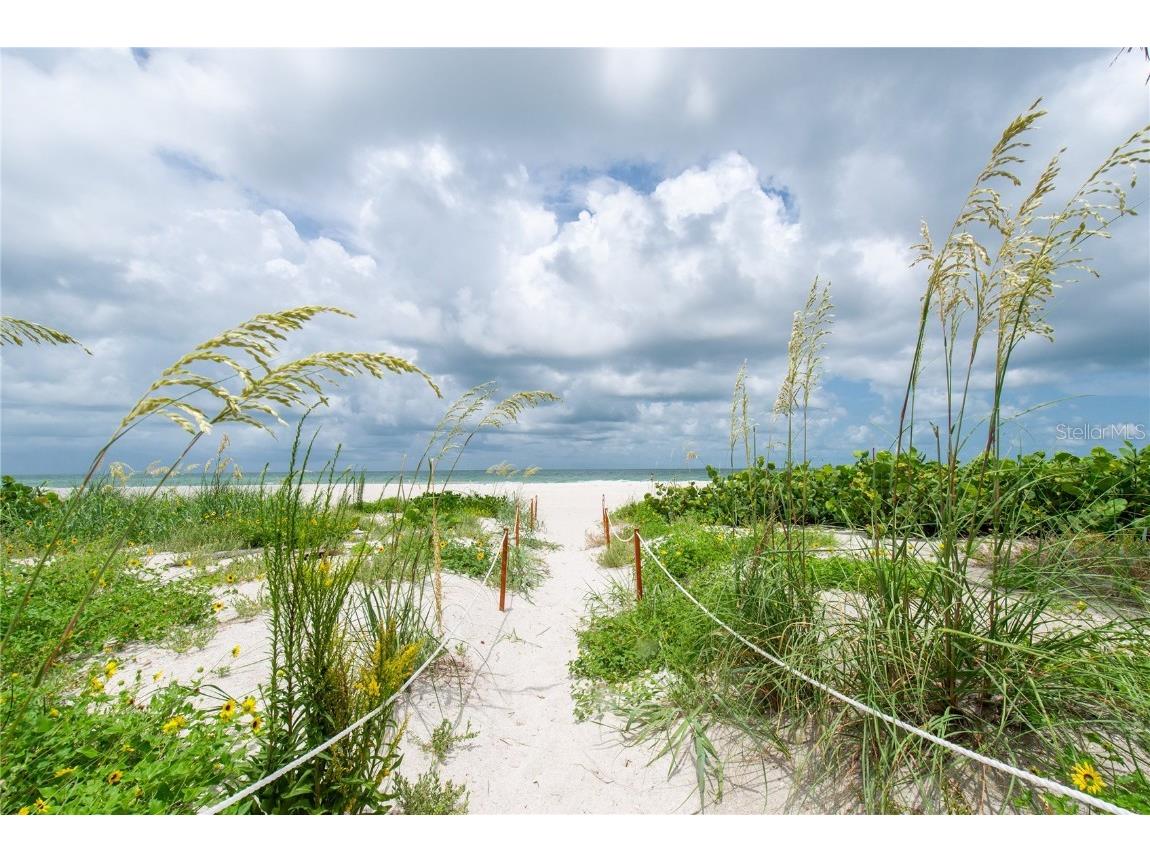 1480 Gulf Boulevard #507 Clearwater Beach FL 33767 TB8455064 image52