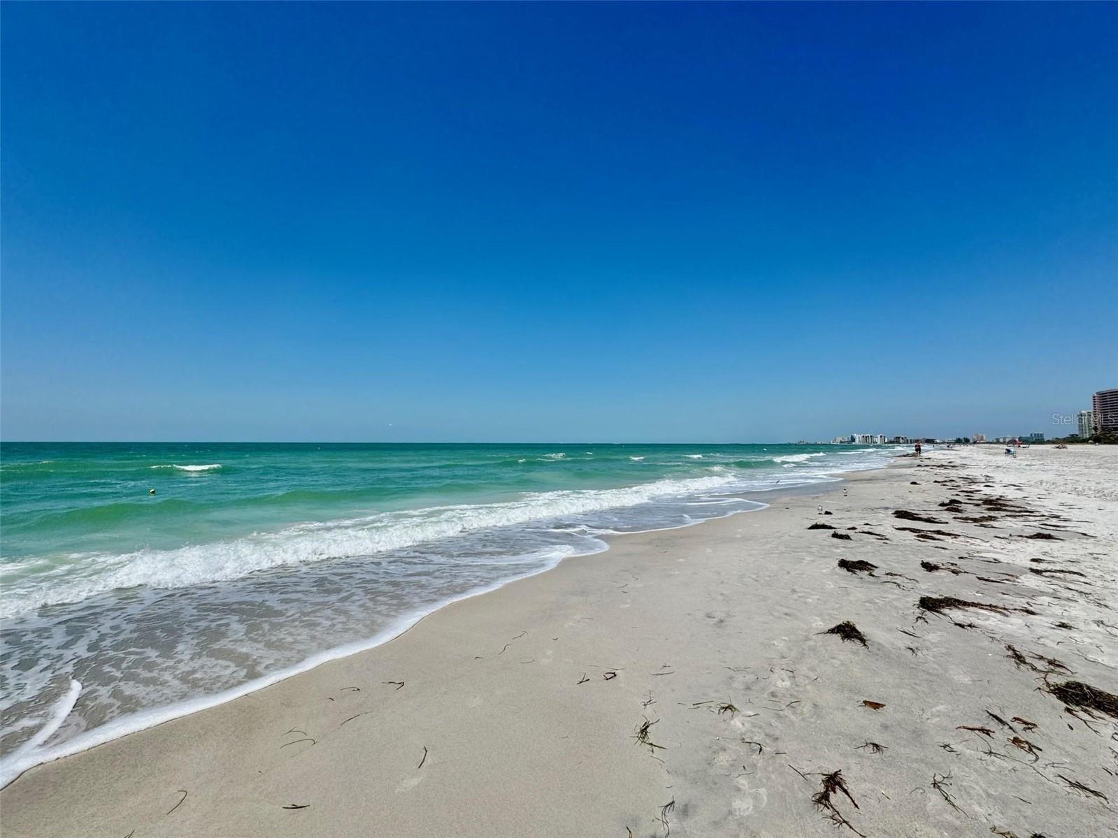 1480 Gulf Boulevard #512 Clearwater FL 33767 - GULF OF MEXICO SAND KEY BEACH TB8519592 image31
