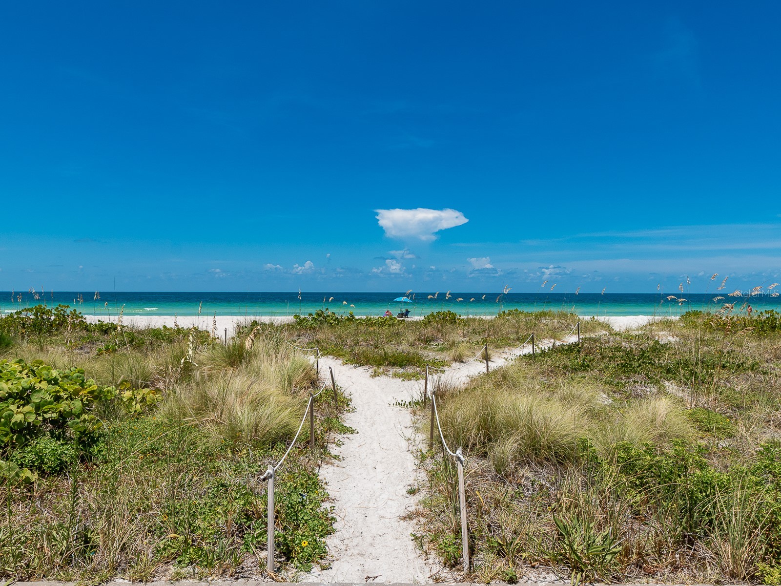 1480 Gulf Boulevard #610 Clearwater Beach FL 33767 TB8468674 image37