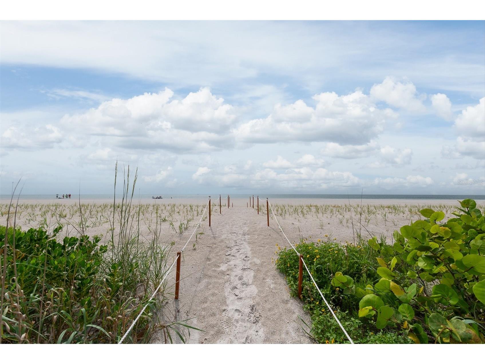1480 Gulf Boulevard #712 Clearwater Beach FL 33767 TB8516499 image43