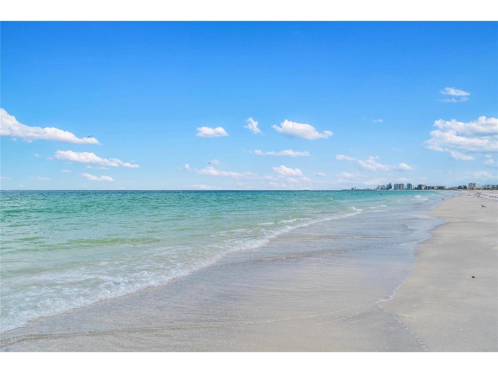 1480 Gulf Boulevard #712 Clearwater Beach FL 33767 TB8516499 image46