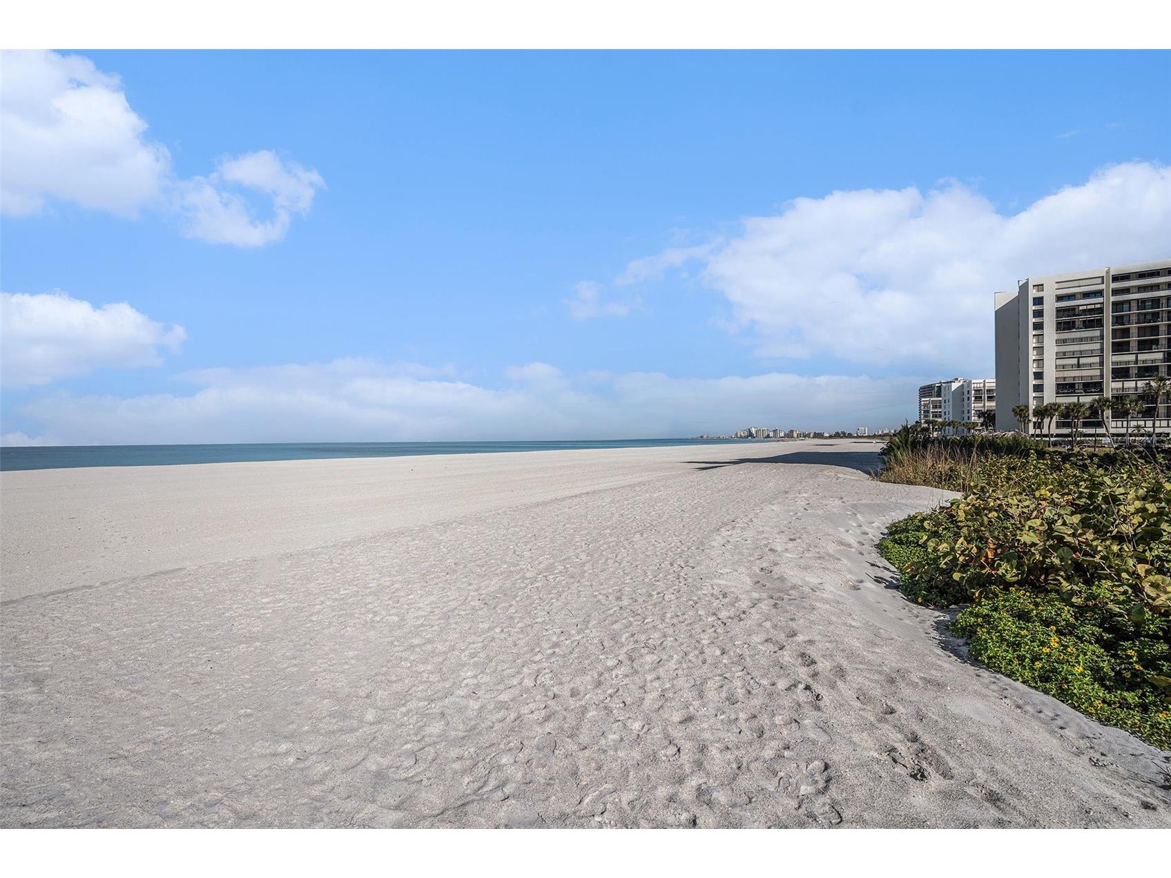 1480 Gulf Boulevard #905 Clearwater Beach FL 33767 - GULF OF AMERICA TB8464020 image35