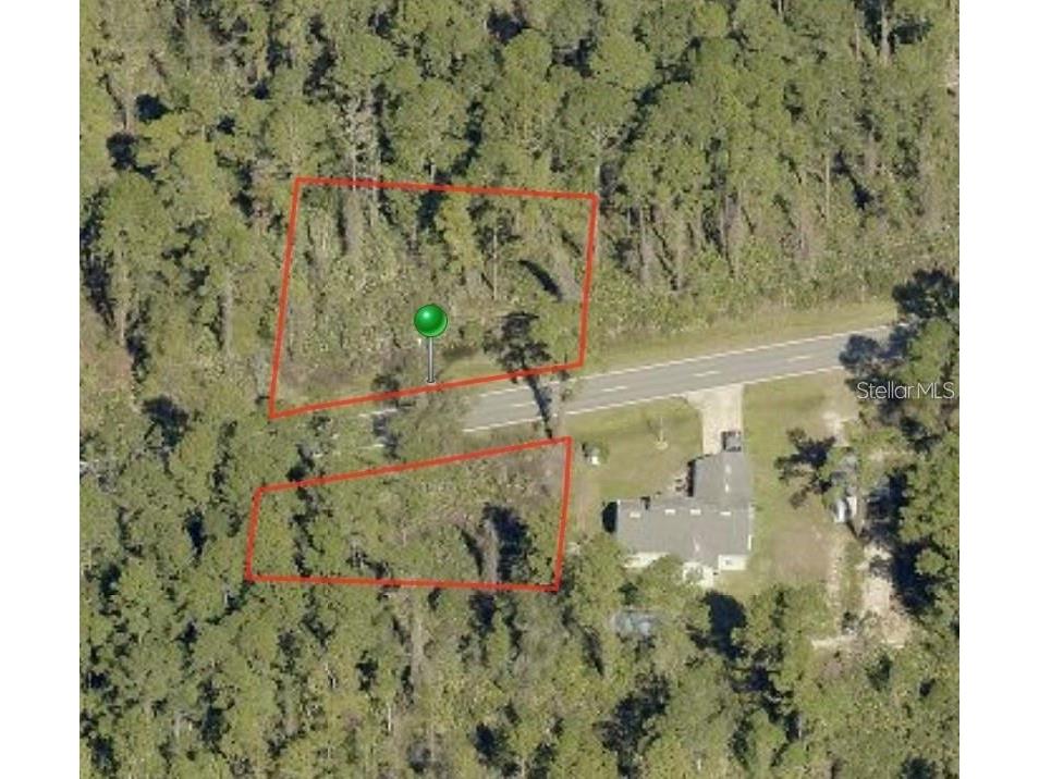 1480 Reynolds Road De Leon Springs FL 32130 V4933432 image1