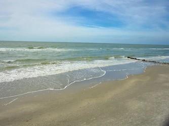 14800 Gulf Boulevard #205 Madeira Beach FL 33708 TB8504417 image23