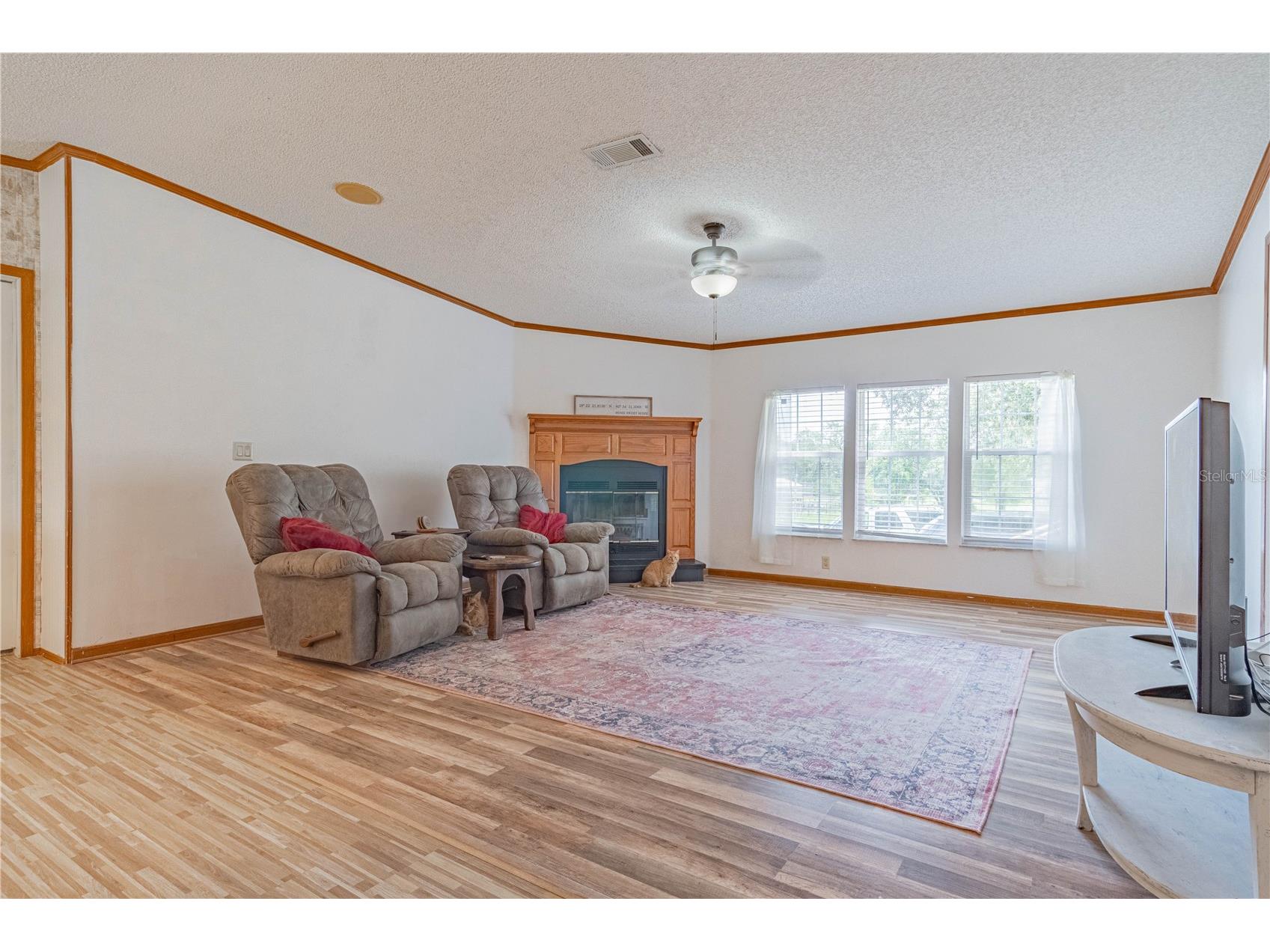 14800 Hays Road Spring Hill FL 34610 OM728257 image10