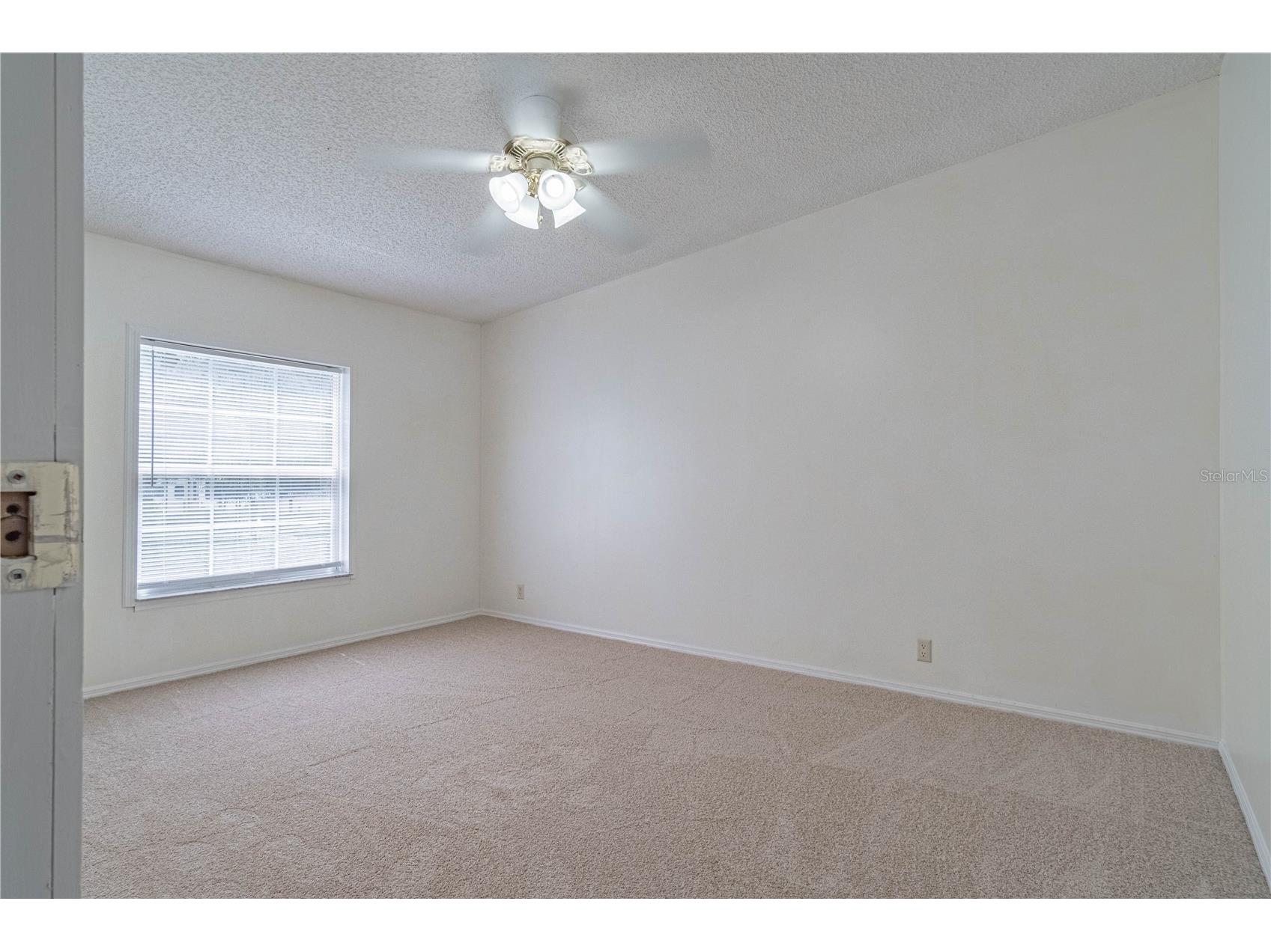 14800 Hays Road Spring Hill FL 34610 OM728257 image19