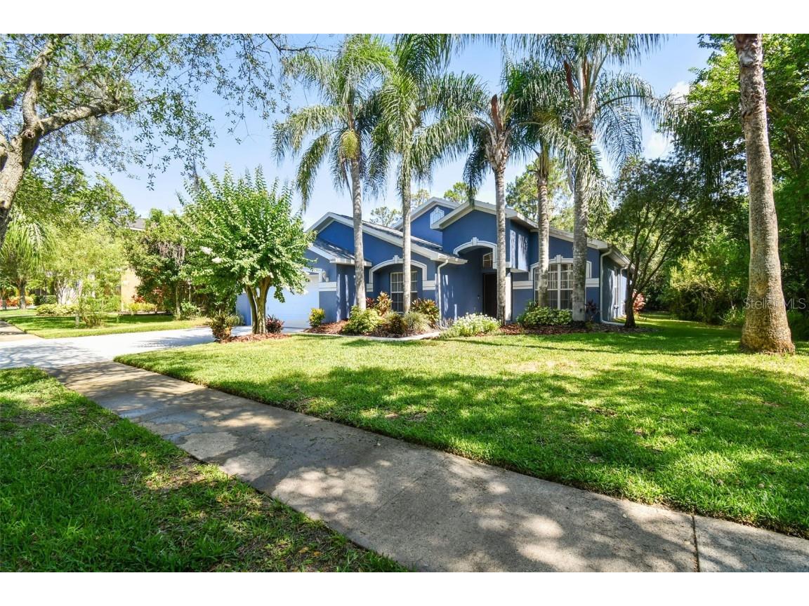 14801 Heronglen Drive Lithia FL 33547 T3531460 image1