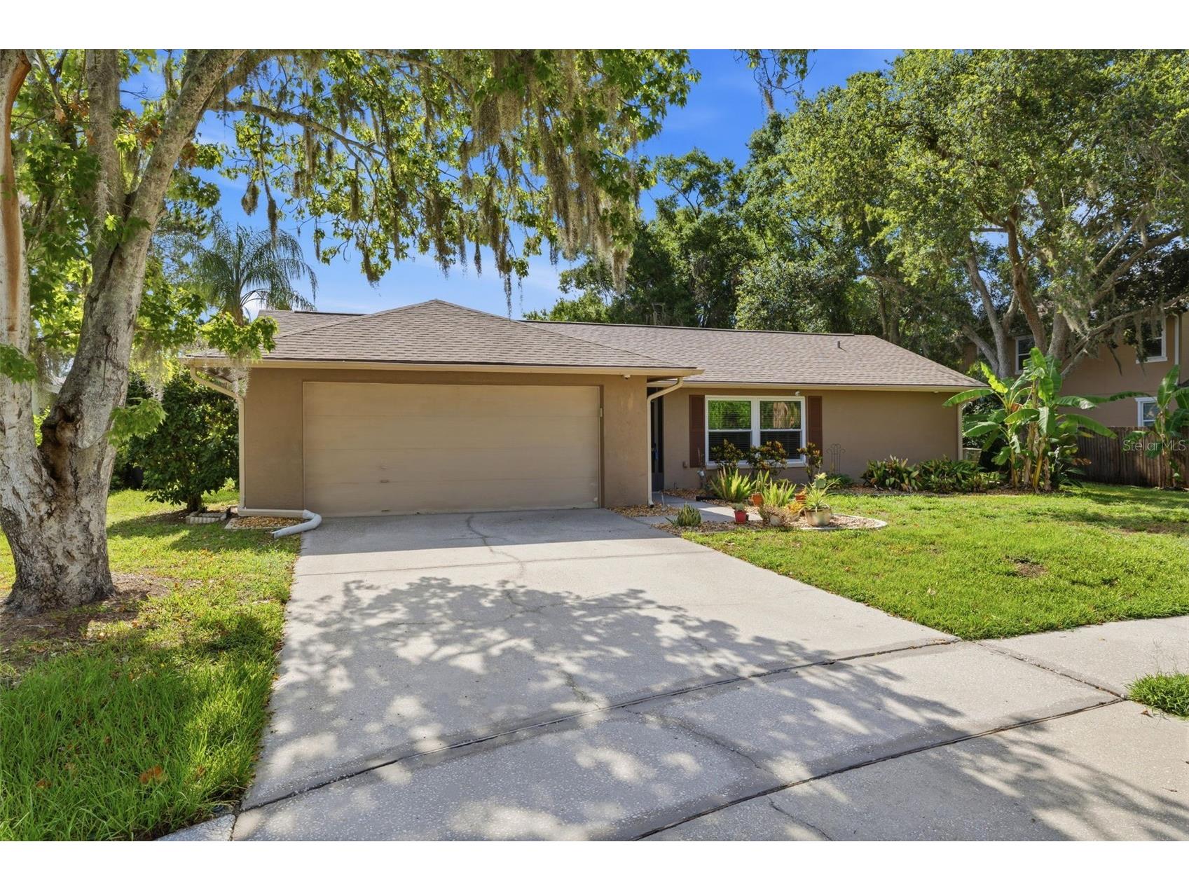 14801 Perriwinkle Place Tampa FL 33625 TB8525379 image2