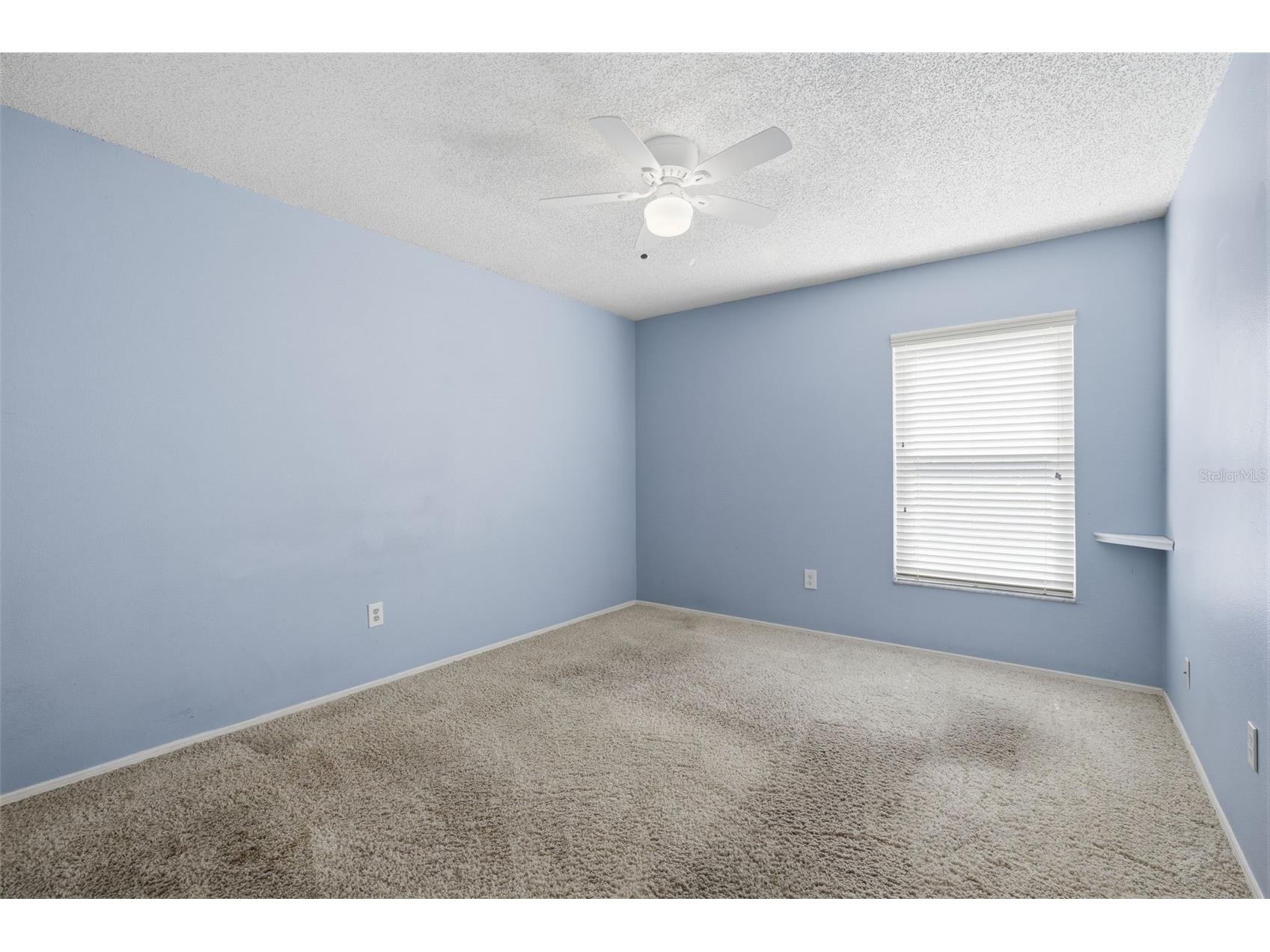 14801 Perriwinkle Place Tampa FL 33625 TB8525379 image21