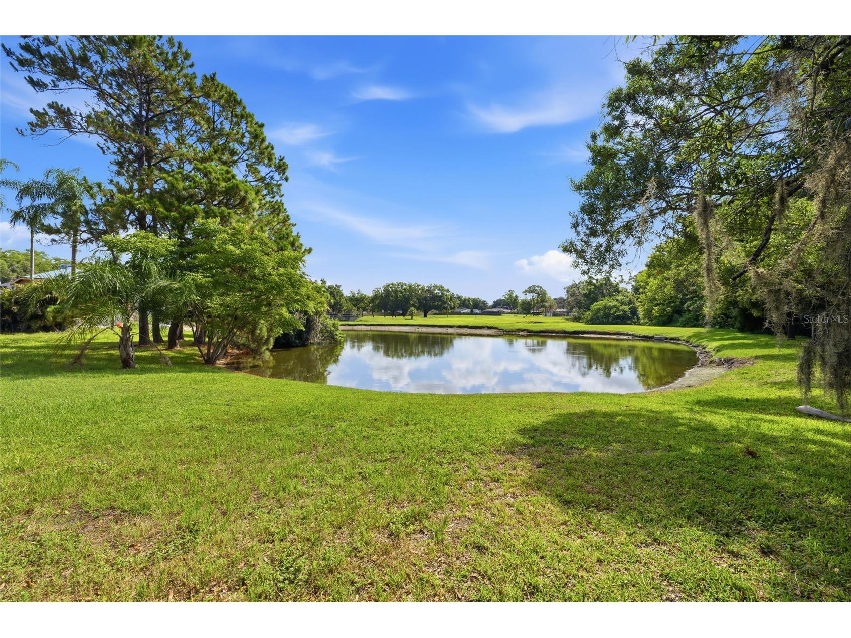 14801 Perriwinkle Place Tampa FL 33625 TB8525379 image25
