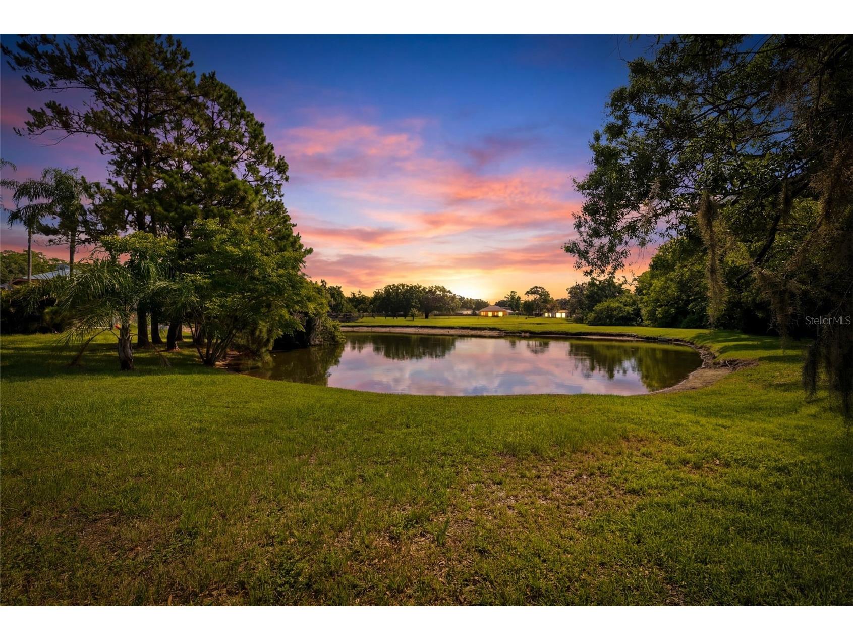 14801 Perriwinkle Place Tampa FL 33625 TB8525379 image4
