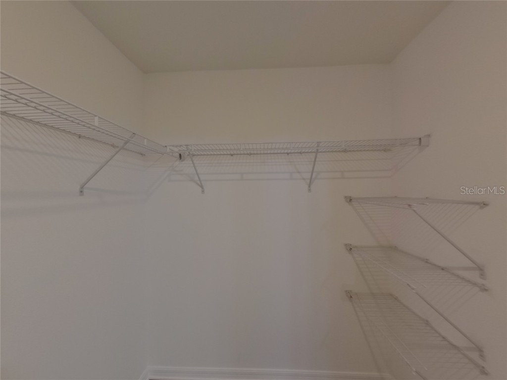 14802 Emerald Landing Place Wimauma FL 33598 C7515369 image14