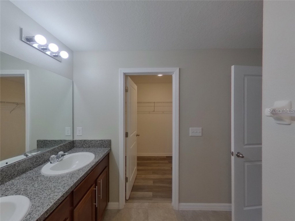 14802 Emerald Landing Place Wimauma FL 33598 C7515369 image15