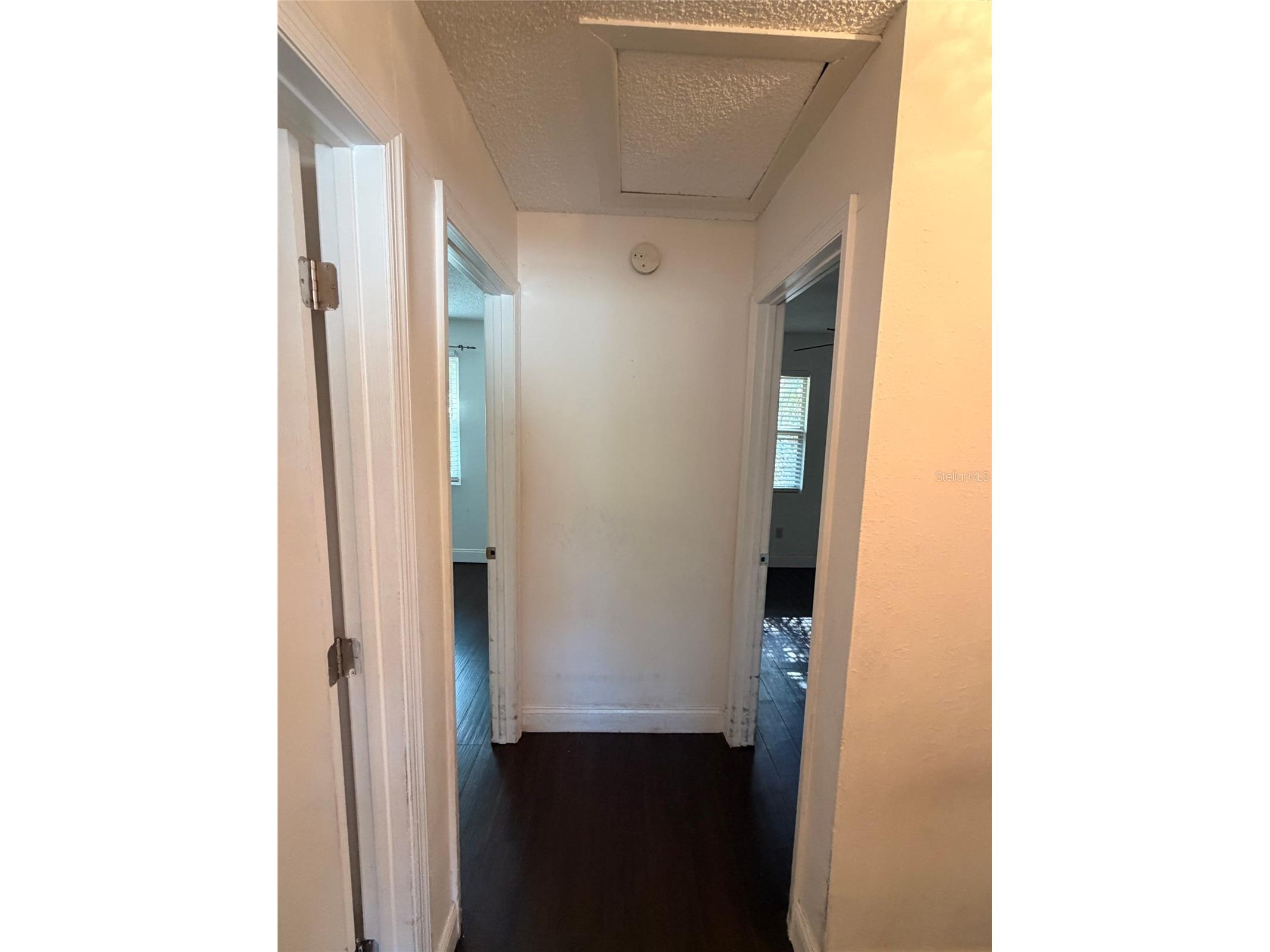 14802 N 30th Street Lutz FL 33559 TB8502923 image11