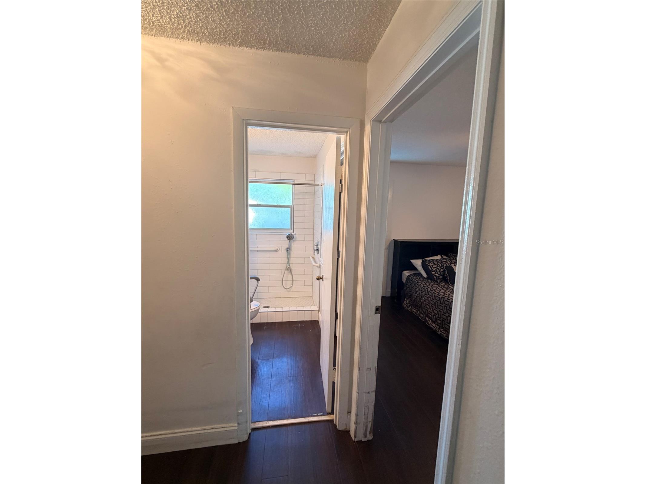14802 N 30th Street Lutz FL 33559 TB8502923 image12