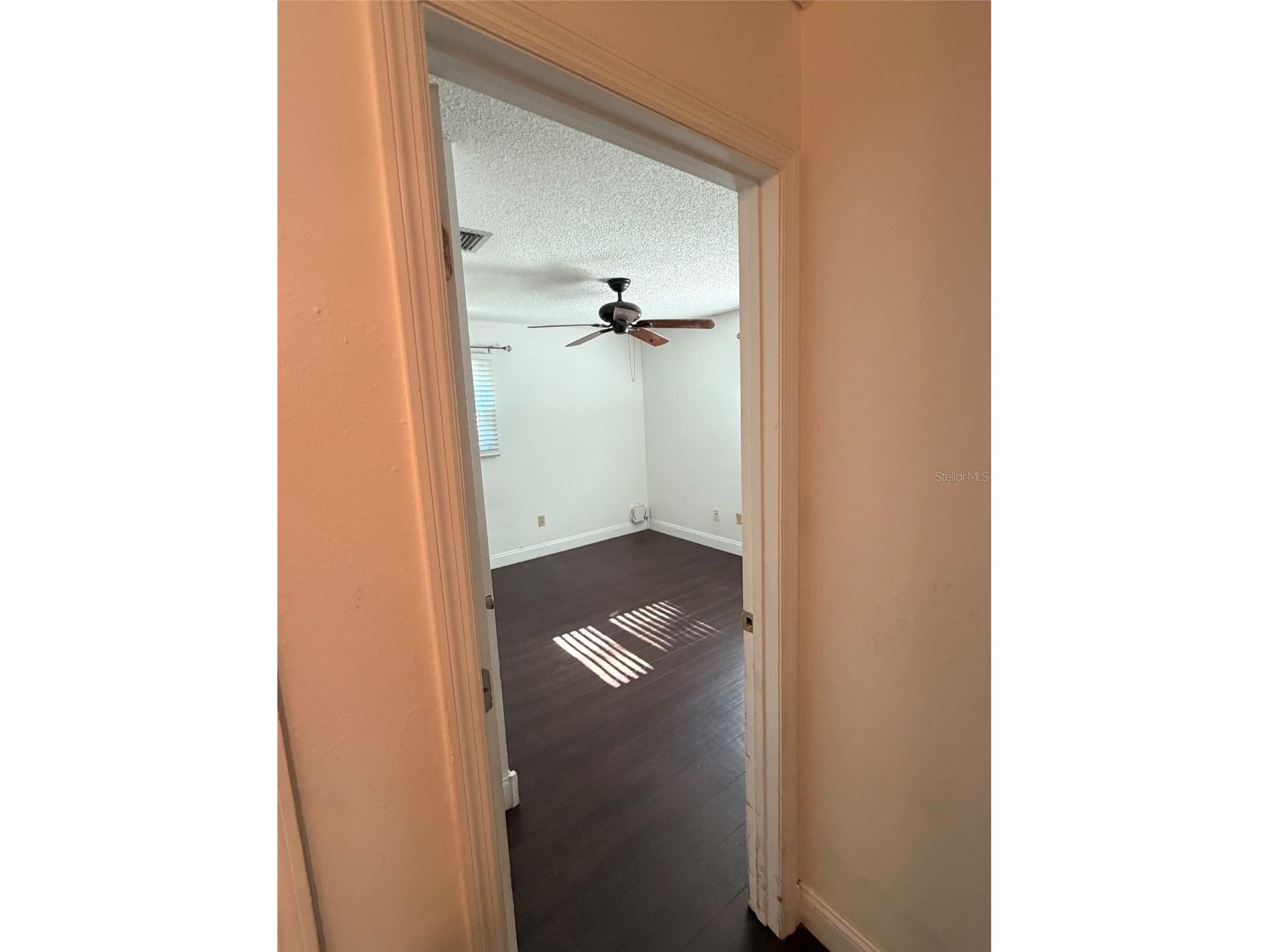 14802 N 30th Street Lutz FL 33559 TB8502923 image18
