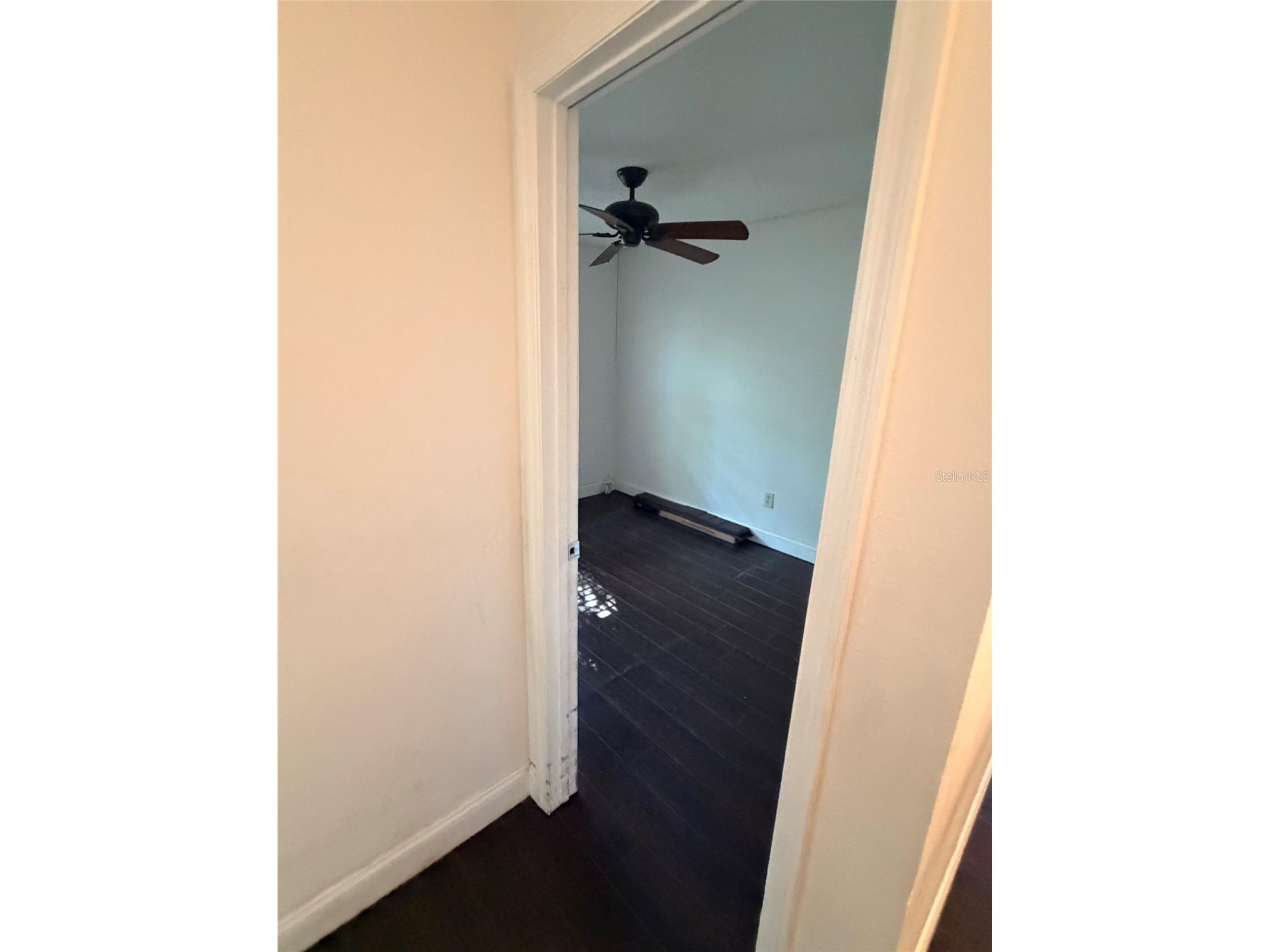 14802 N 30th Street Lutz FL 33559 TB8502923 image19