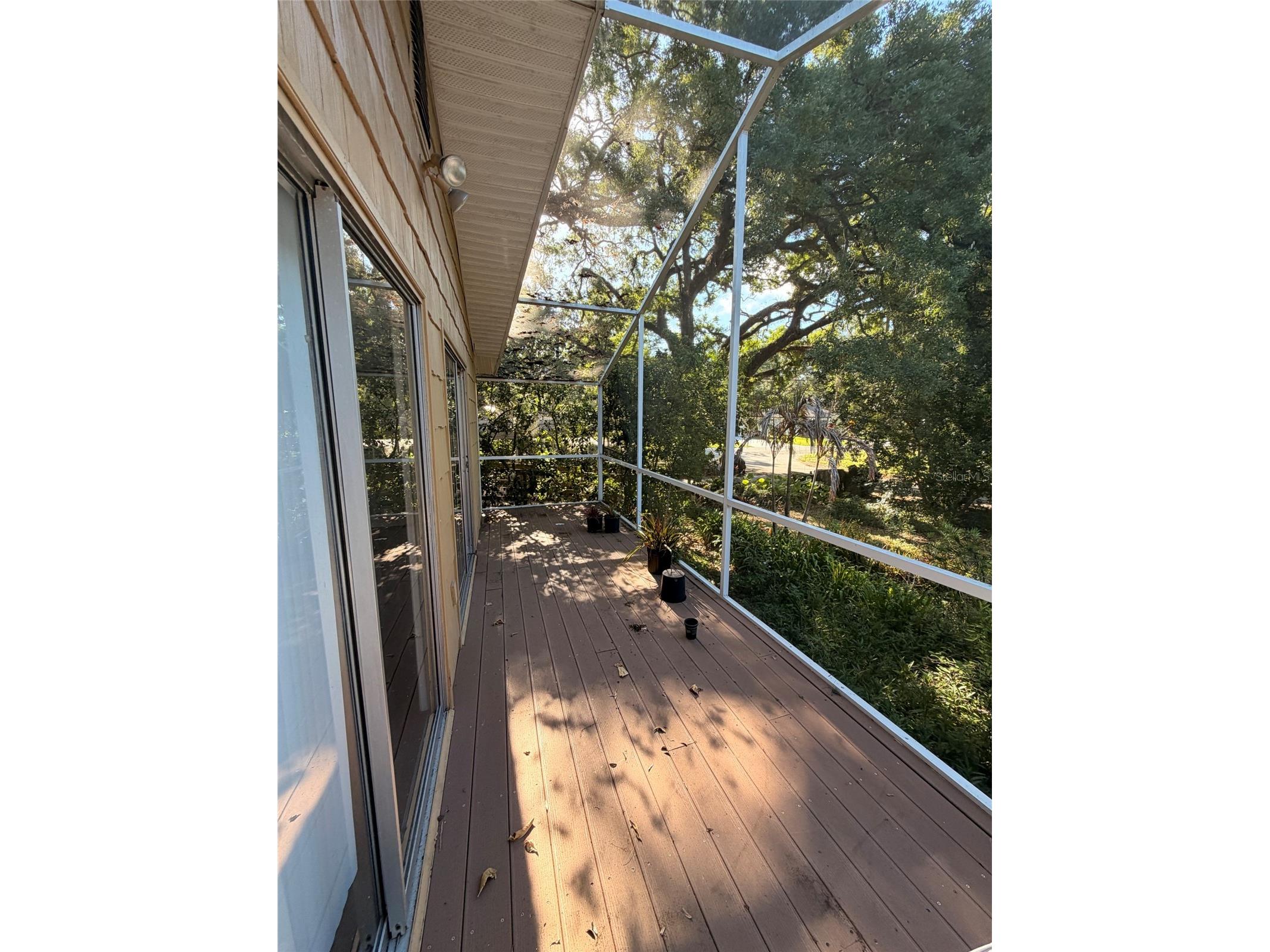 14802 N 30th Street Lutz FL 33559 TB8502923 image21