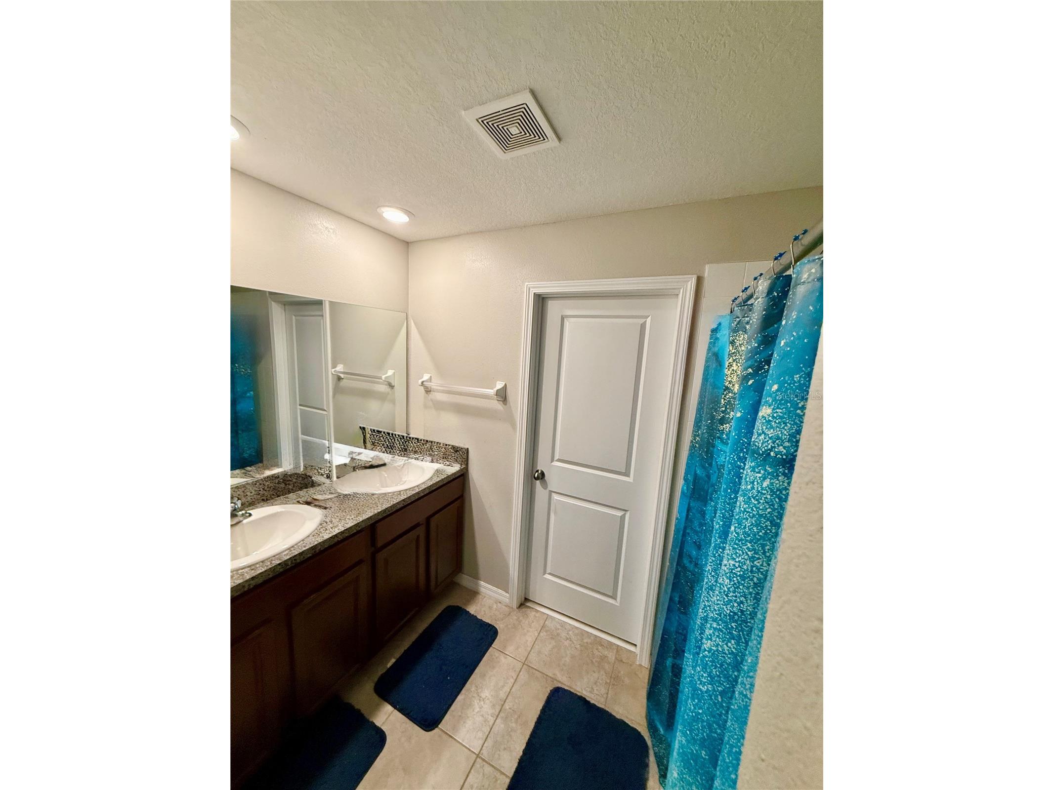 14803 Scottburgh Glen Drive Wimauma FL 33598 TB8448754 image13