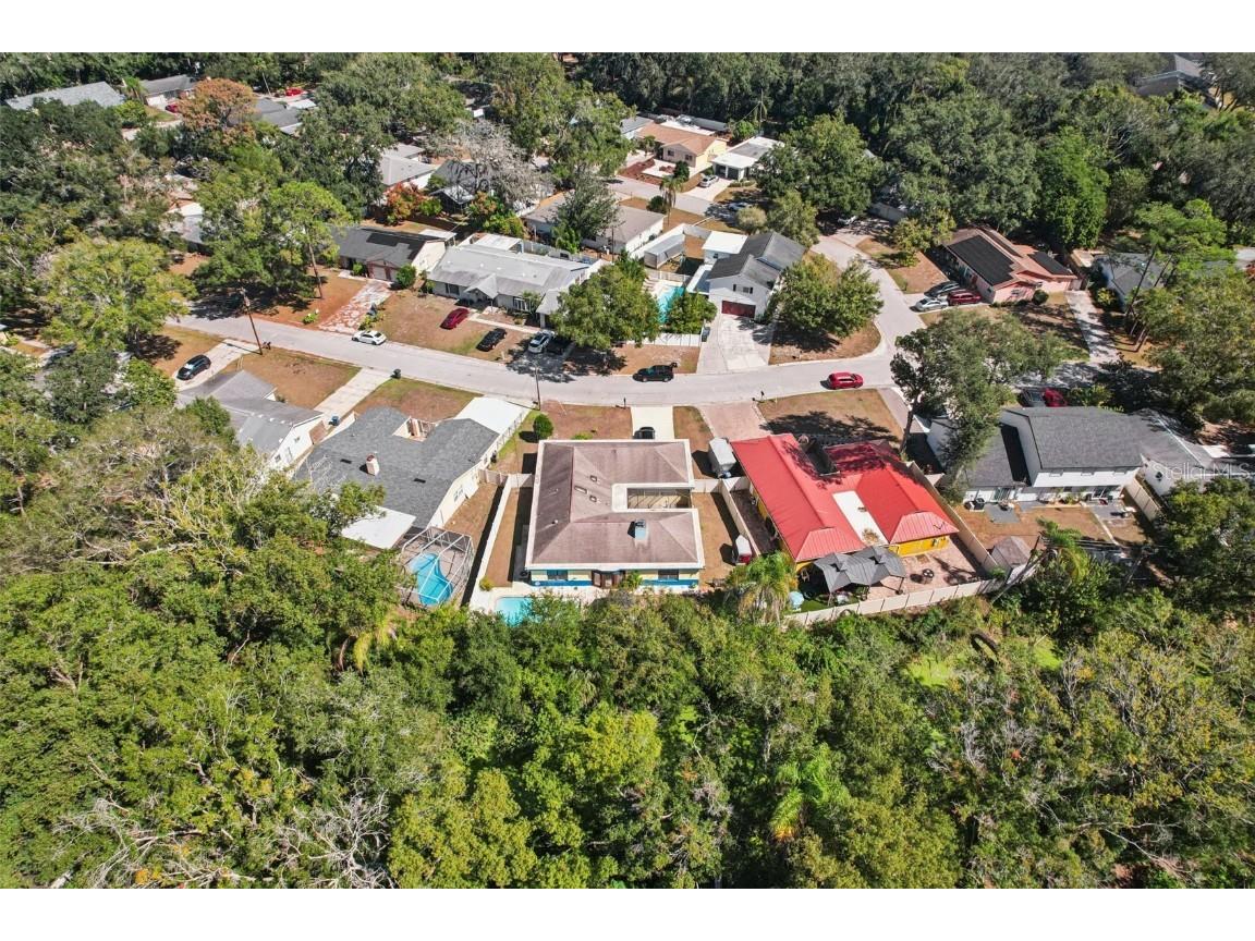 14804 Carnation Drive Tampa FL 33613 TB8438922 image30