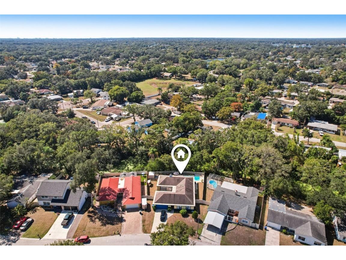 14804 Carnation Drive Tampa FL 33613 TB8438922 image31