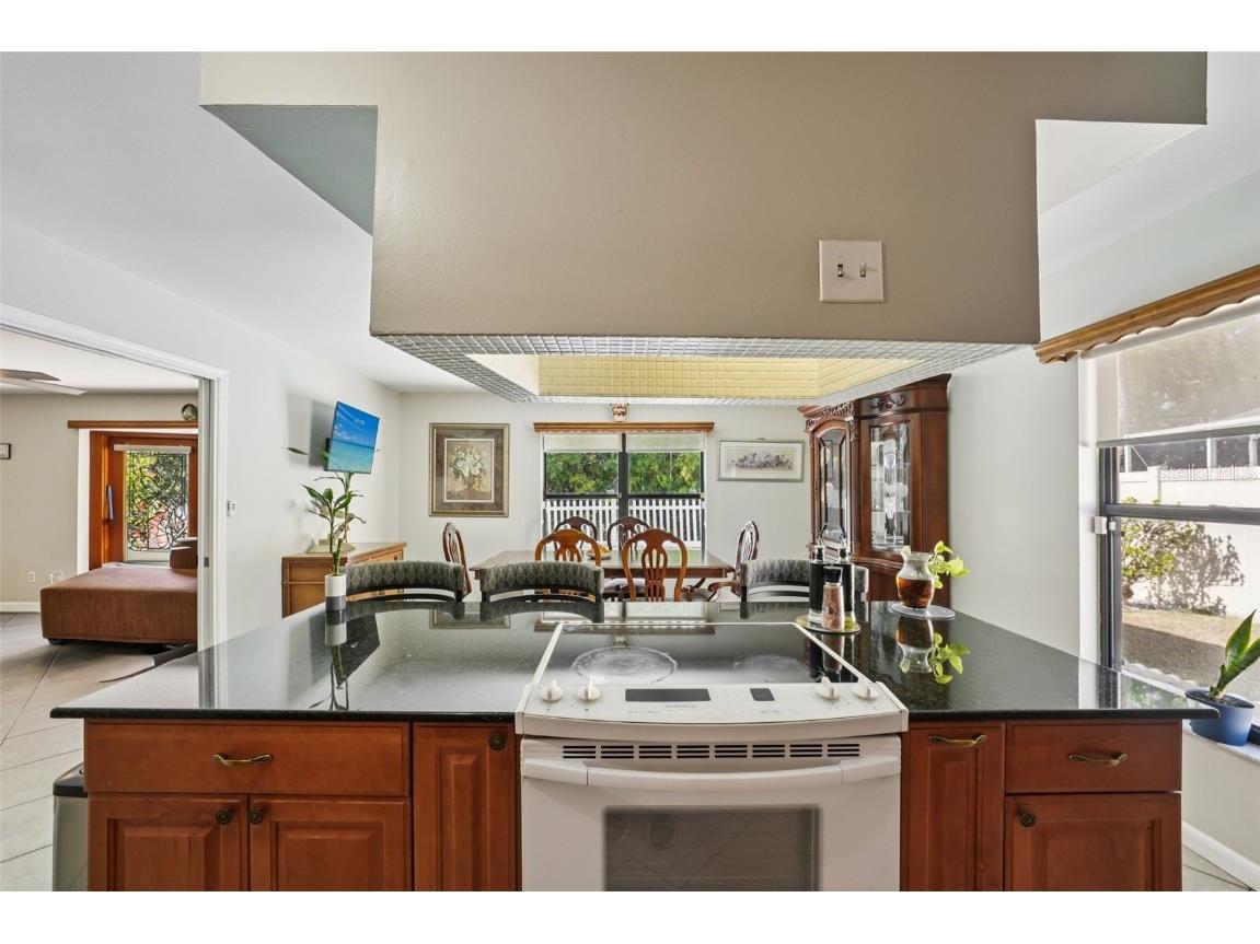 14804 Carnation Drive Tampa FL 33613 TB8438922 image9