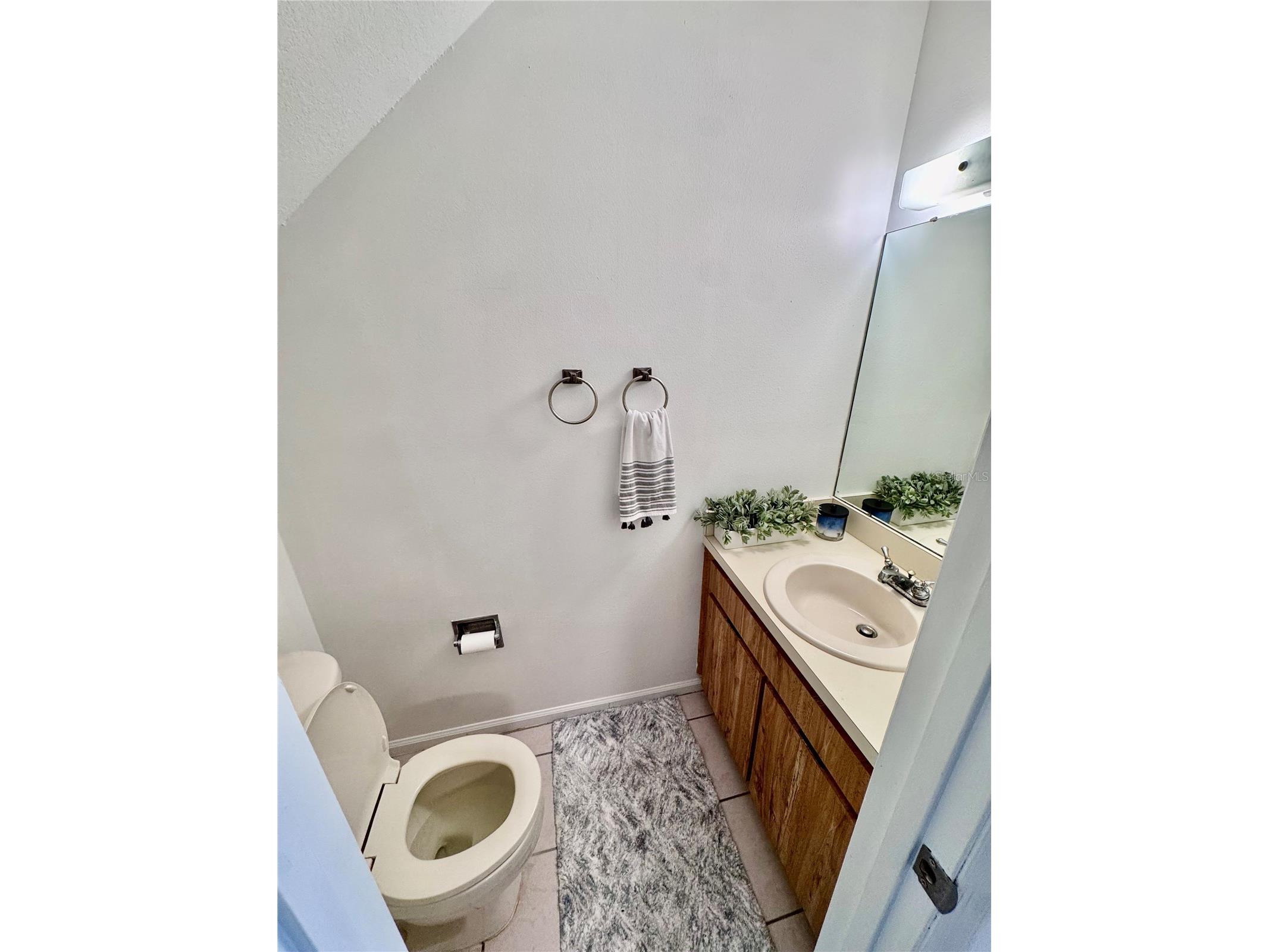 14804 Winding Creek Court Tampa FL 33613 TB8479639 image13