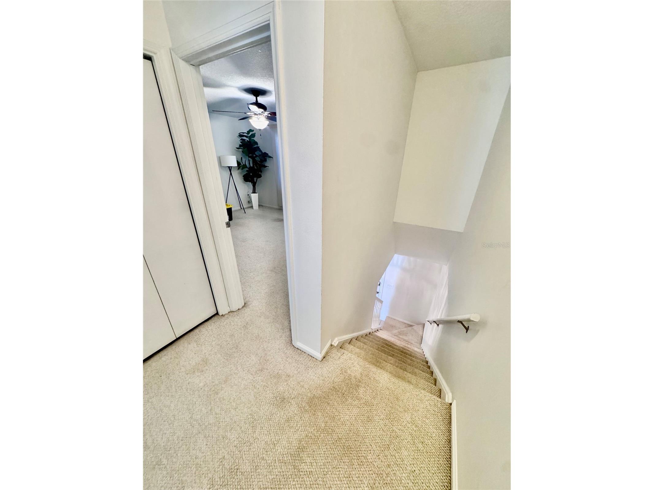 14804 Winding Creek Court Tampa FL 33613 TB8479639 image23