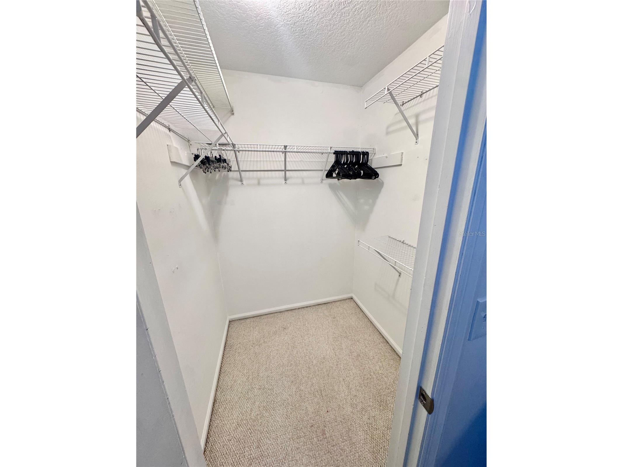 14804 Winding Creek Court Tampa FL 33613 TB8479639 image29