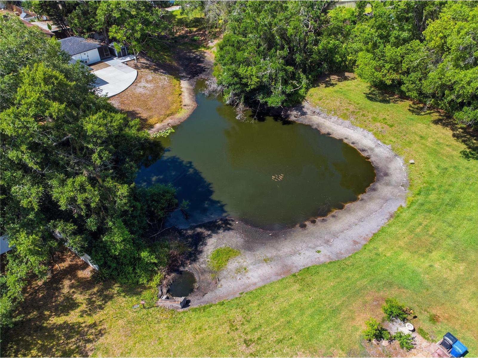 14804 Winding Creek Court Tampa FL 33613 TB8479639 image43