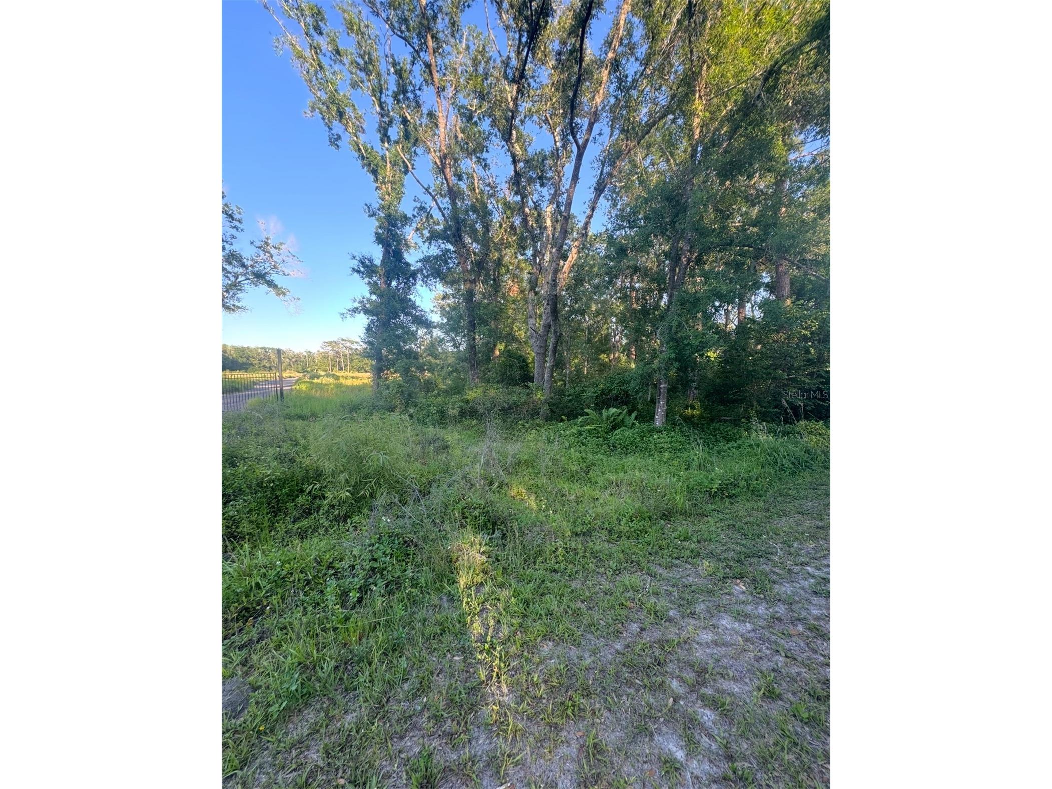 14805 Berkford Avenue Tampa FL 33625 TB8387133 image1