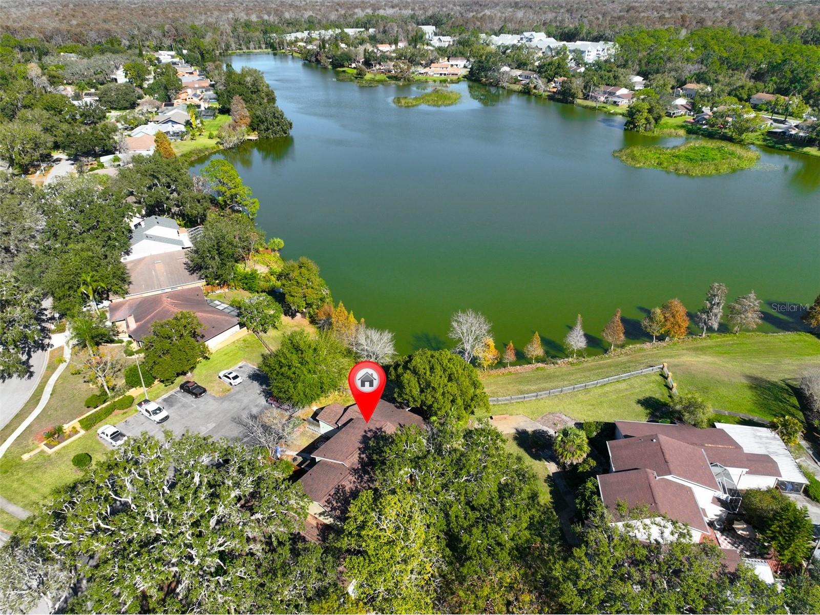 14805 Lake Forest Drive Lutz FL 33559 TB8484359 image32