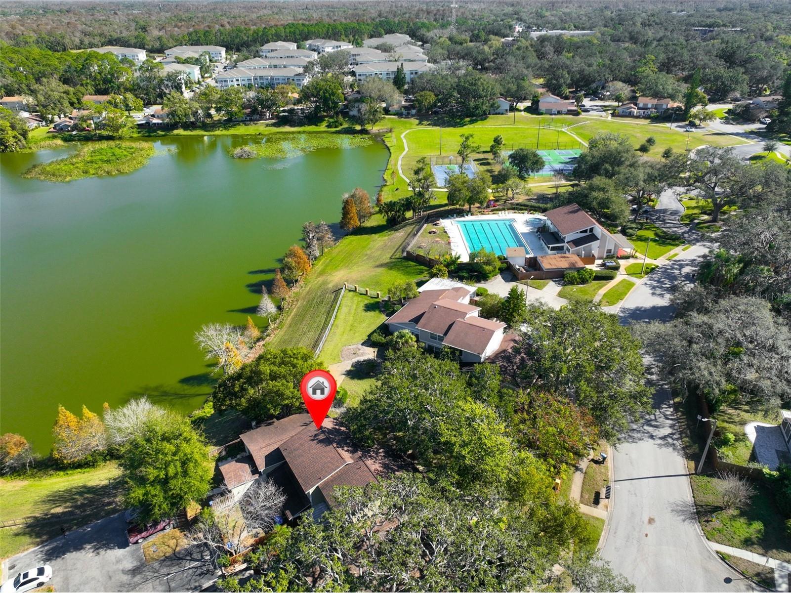 14805 Lake Forest Drive Lutz FL 33559 TB8484359 image33