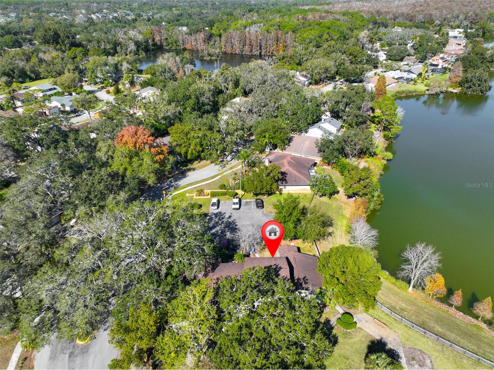 14805 Lake Forest Drive Lutz FL 33559 TB8484359 image34