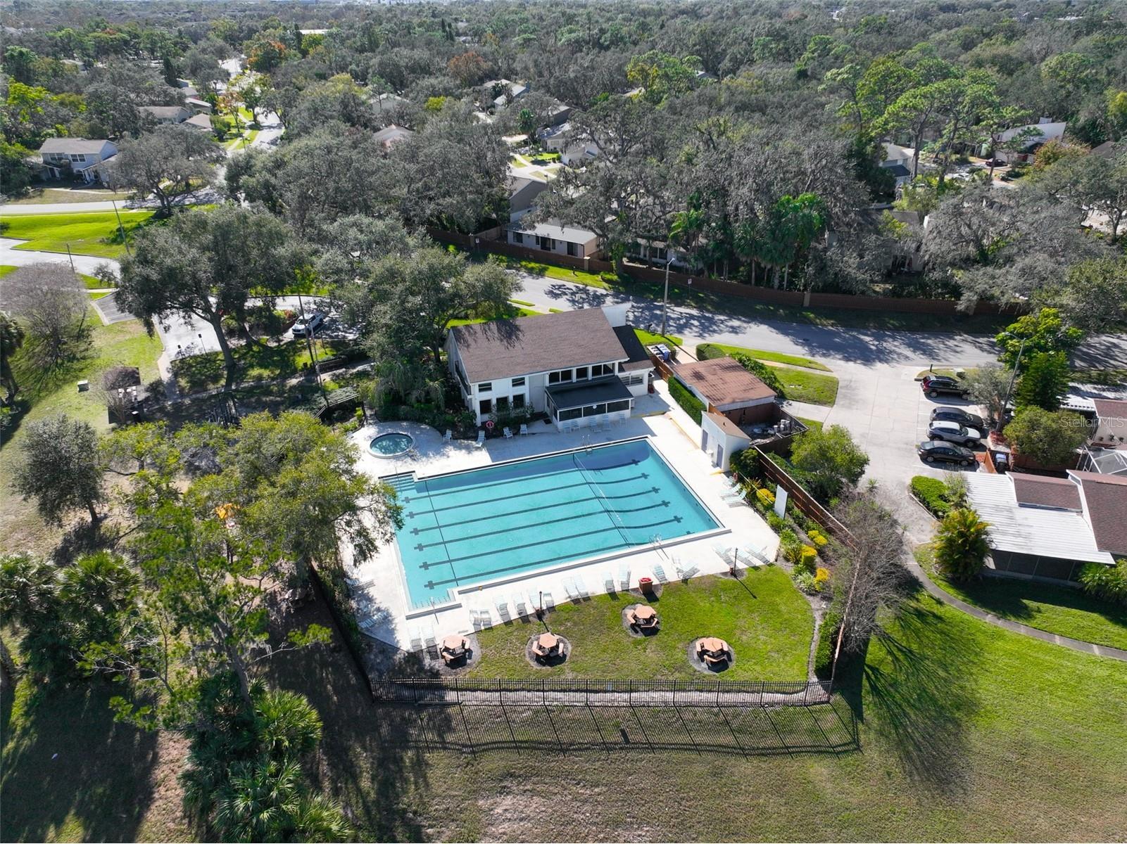 14805 Lake Forest Drive Lutz FL 33559 TB8484359 image36