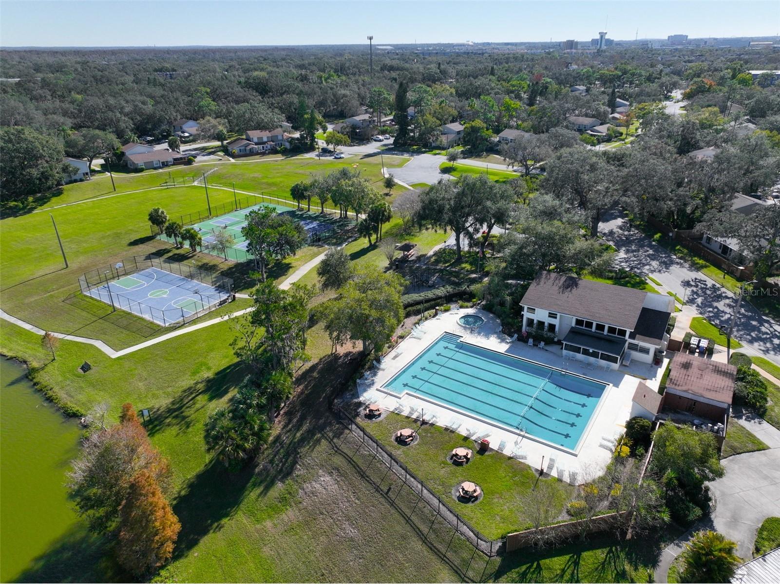 14805 Lake Forest Drive Lutz FL 33559 TB8484359 image37