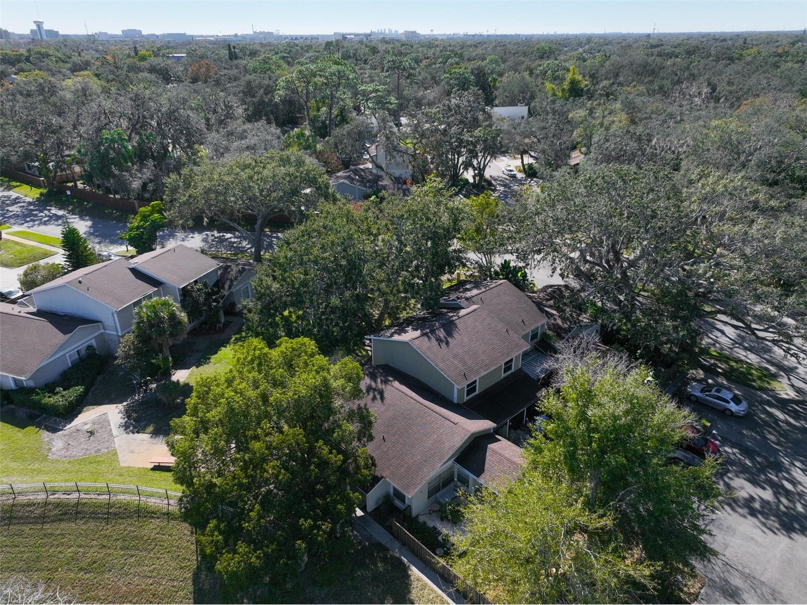 14805 Lake Forest Drive Lutz FL 33559 TB8484359 image38