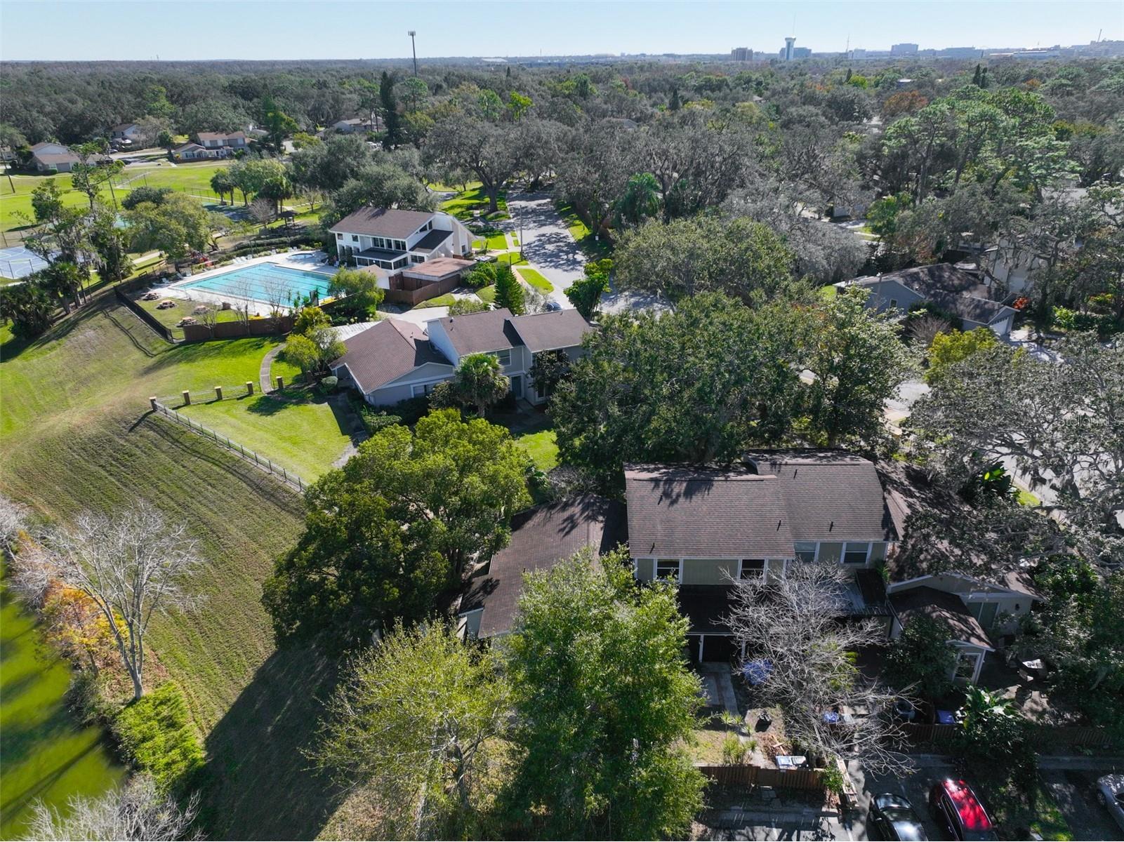 14805 Lake Forest Drive Lutz FL 33559 TB8484359 image39