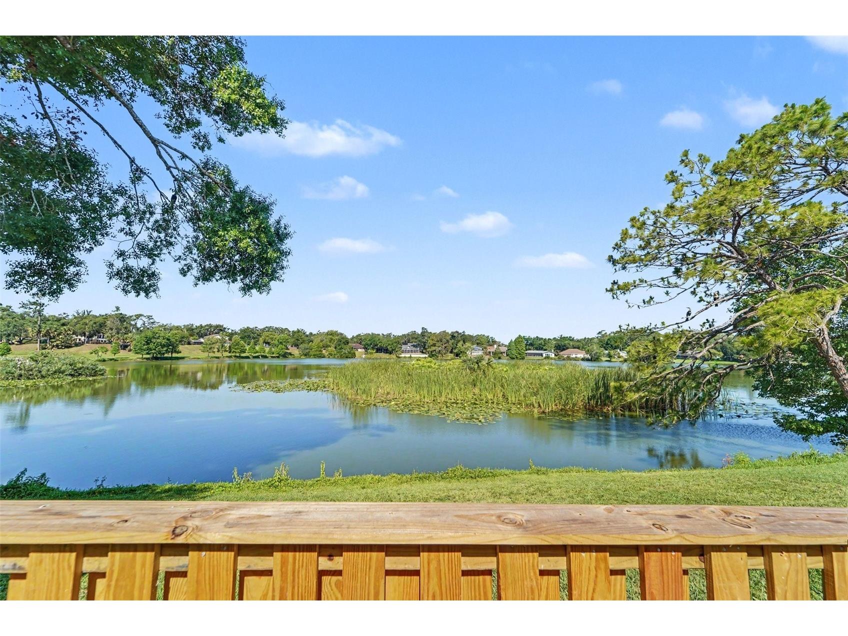14806 Morning Drive Lutz FL 33559 - Forest Lake TB8510125 image30