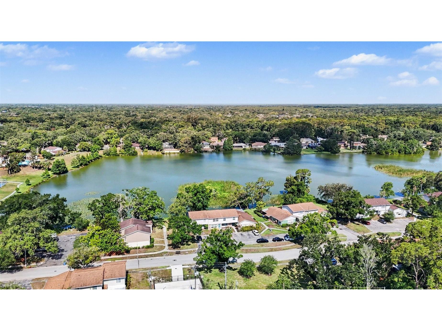 14806 Morning Drive Lutz FL 33559 - Forest Lake TB8510125 image36