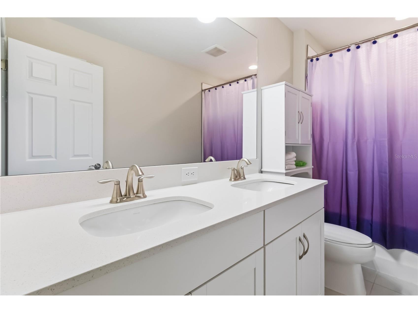 14806 Summer Branch Drive Lithia FL 33547 A4687961 image28