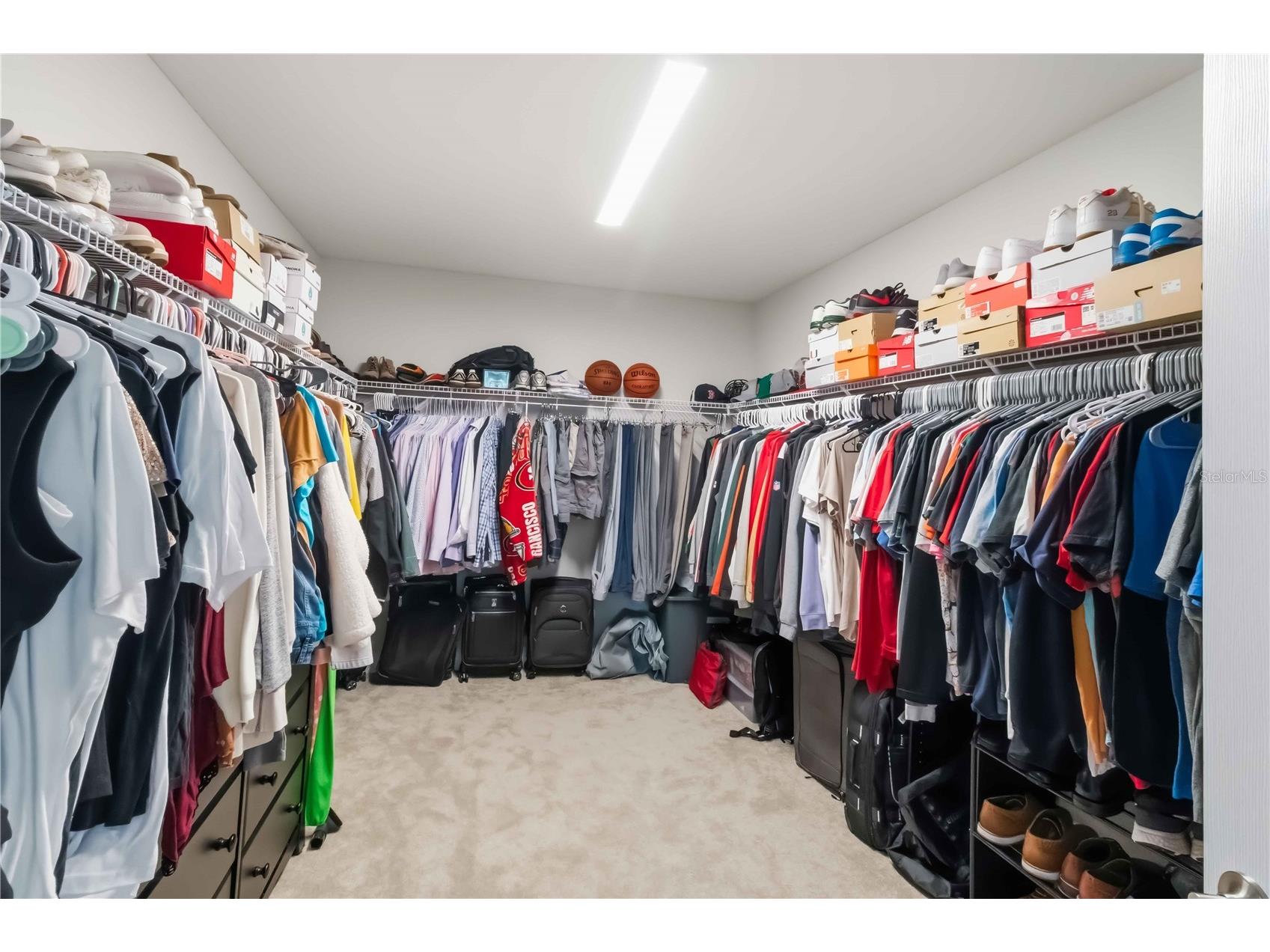 14806 Summer Branch Drive Lithia FL 33547 A4687961 image39