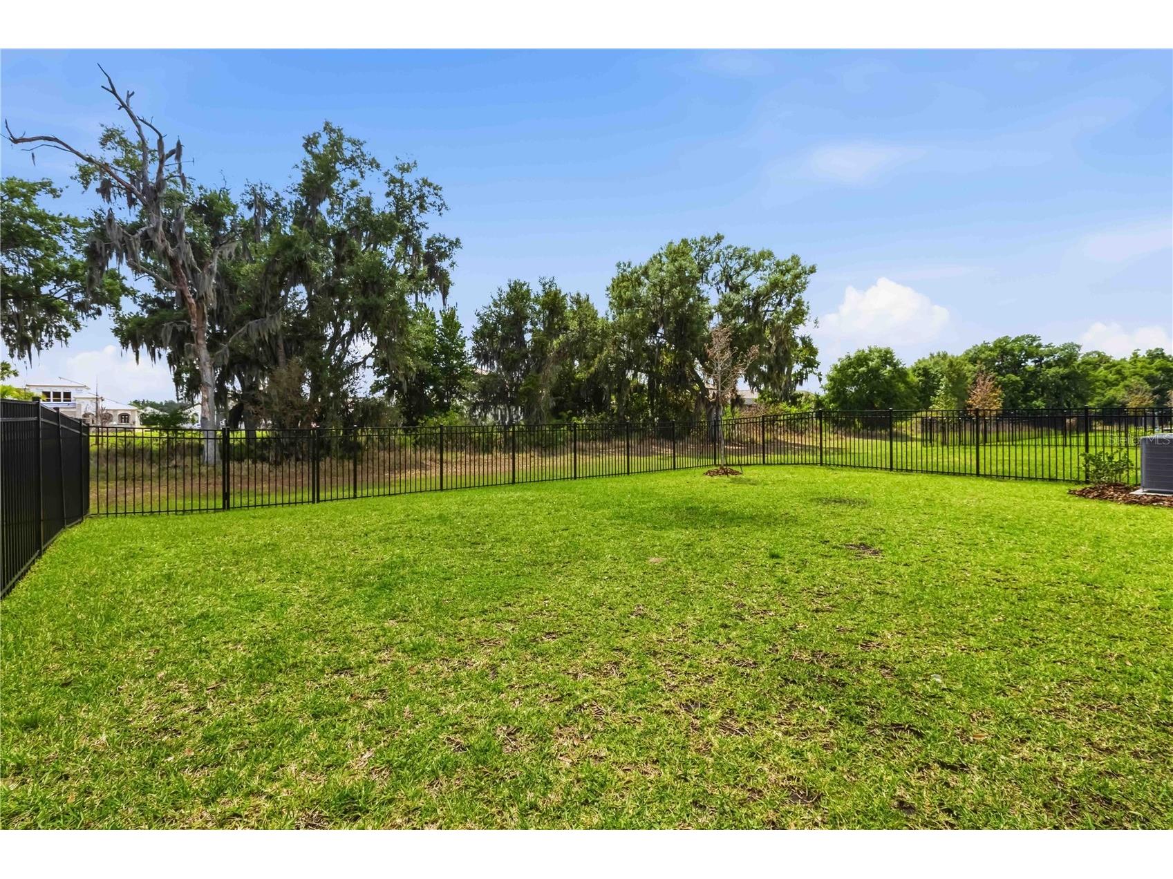 14806 Summer Branch Drive Lithia FL 33547 A4687961 image40