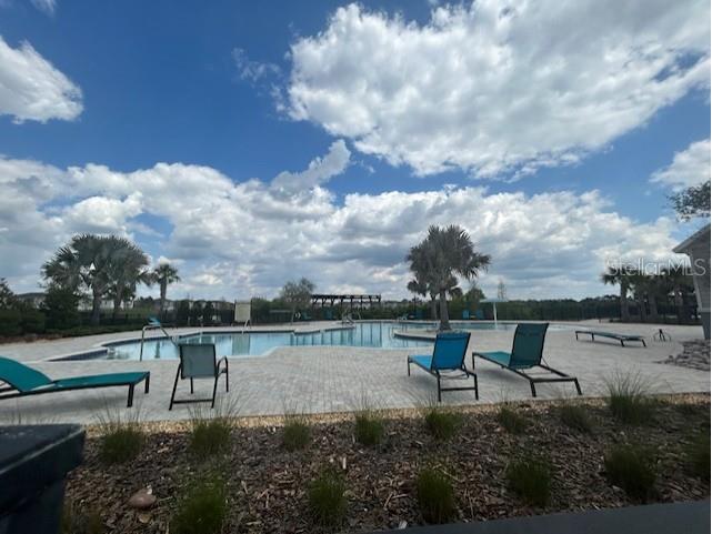 14806 Summer Branch Drive Lithia FL 33547 A4687961 image48