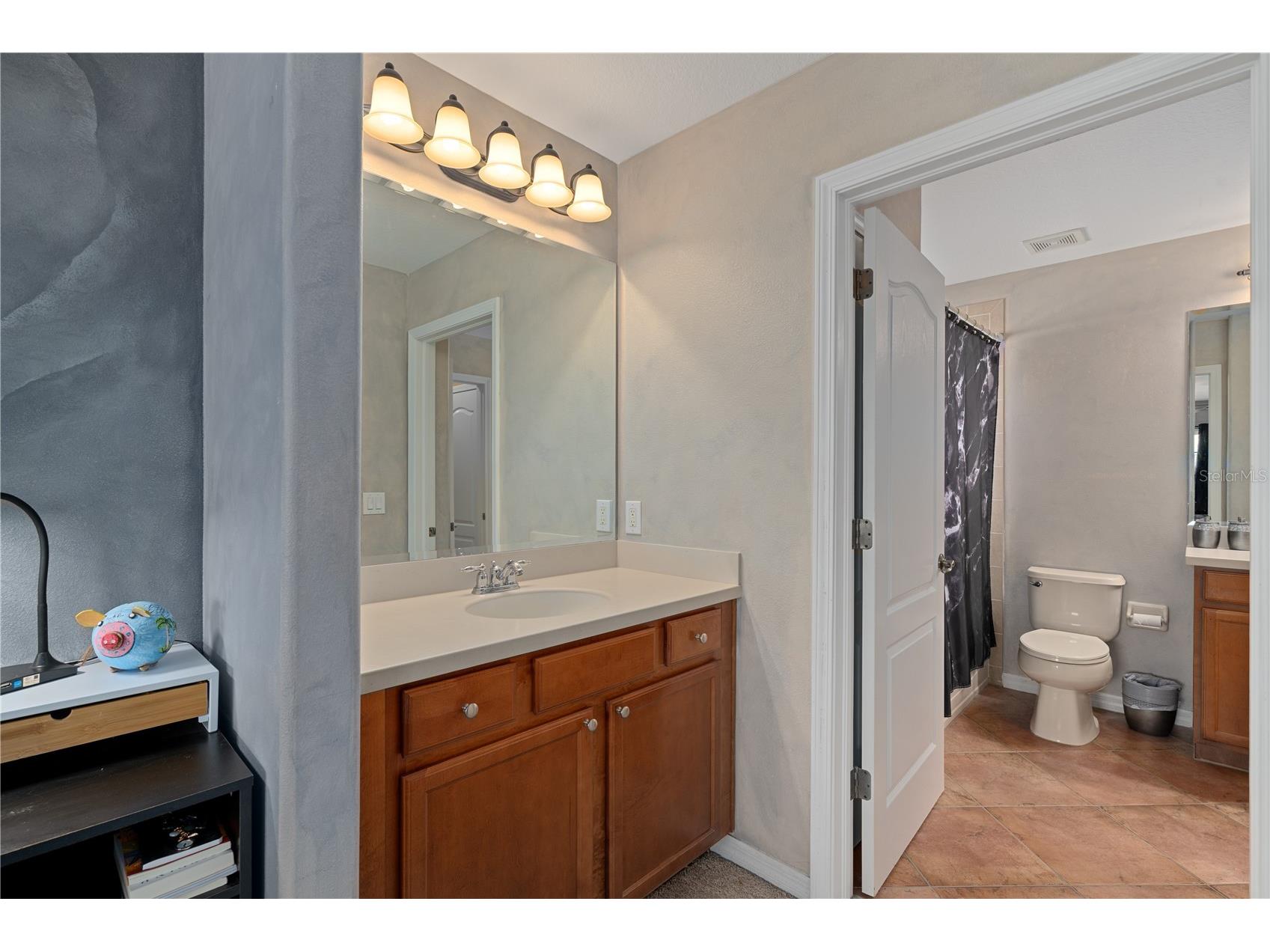 14807 Princewood Lane Land O Lakes FL 34638 W7885657 image44