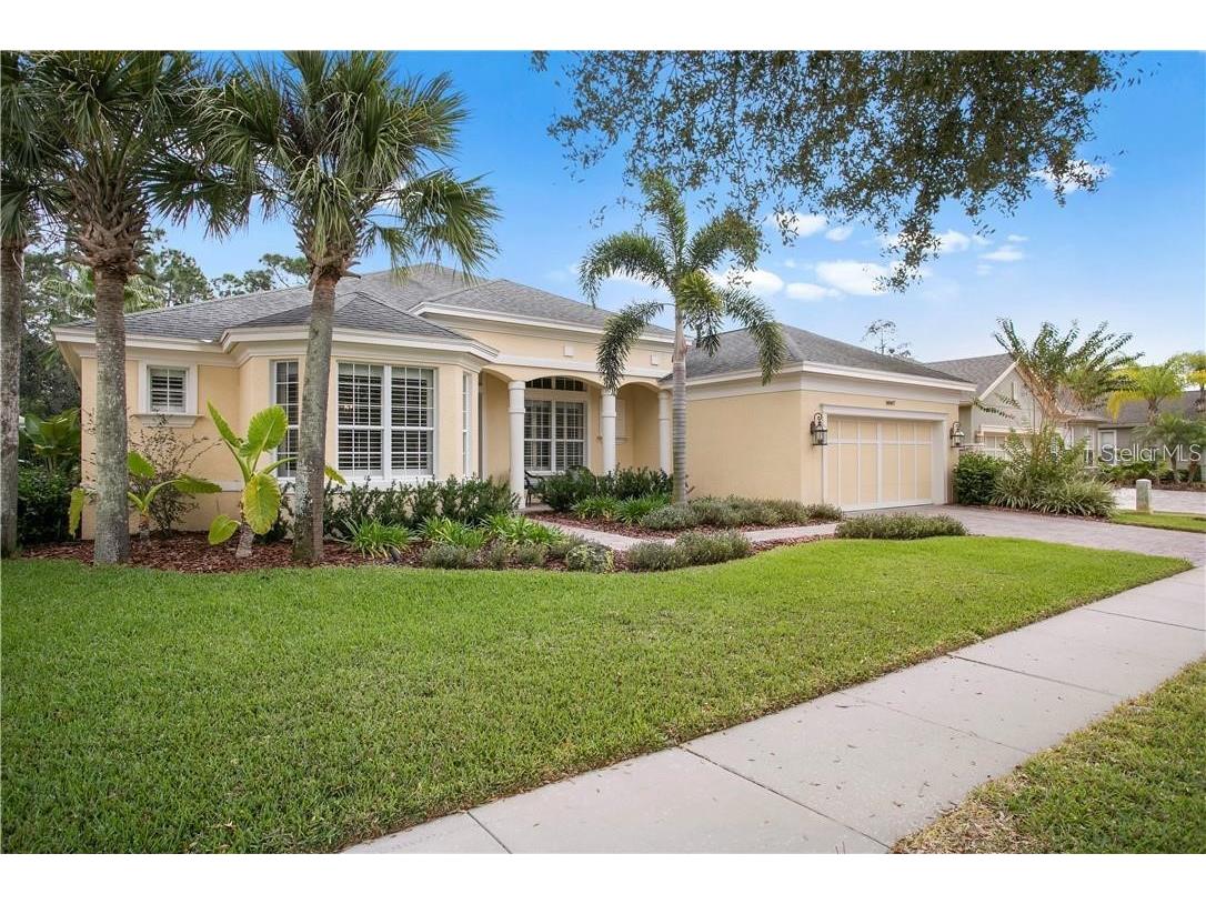 14807 Tudor Chase Drive Tampa FL 33626 J971095 image1