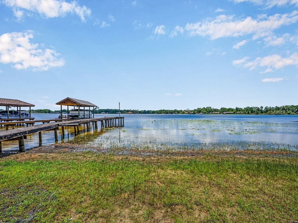 14808 Lake Magdalene Circle Tampa FL 33613 TB8393627 image11