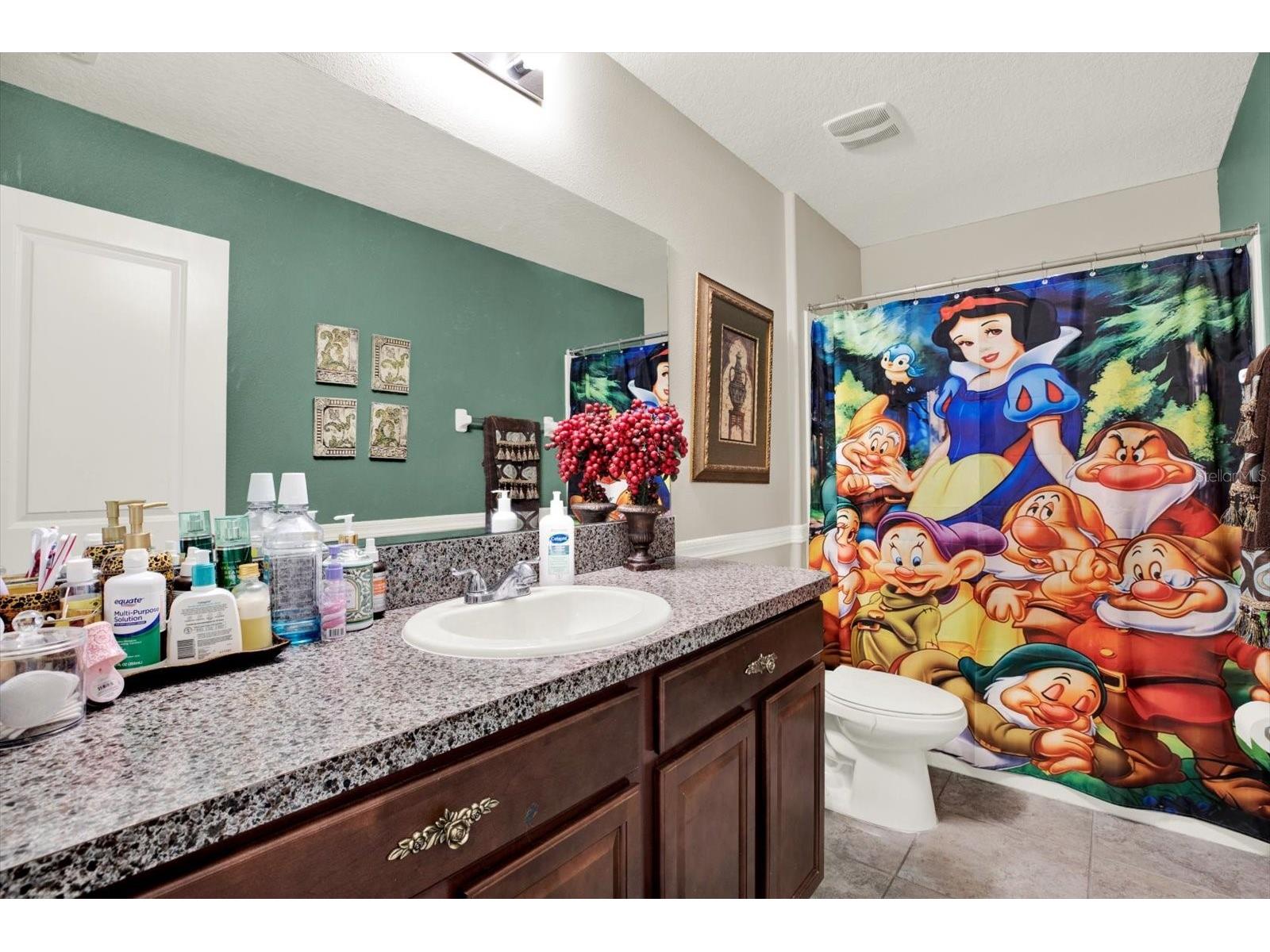 14809 Crescent Rock Drive Wimauma FL 33598 TB8513582 image14