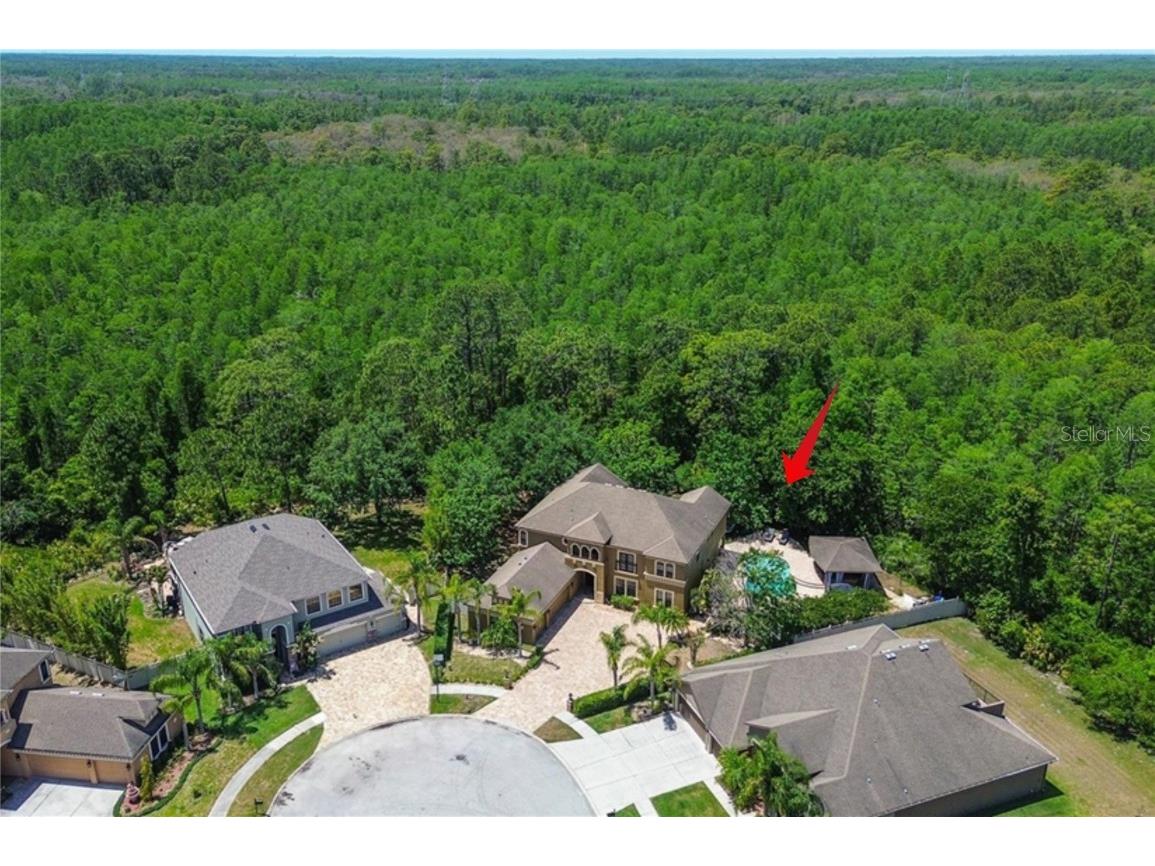 14809 Ninebark Court Land O Lakes FL 34638 TB8404739 image1