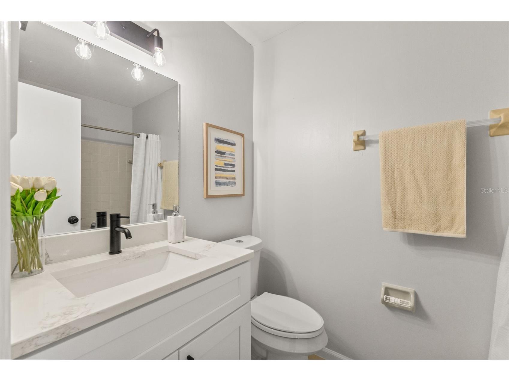 14809 Winding Creek Court Tampa FL 33613 TB8516906 image18